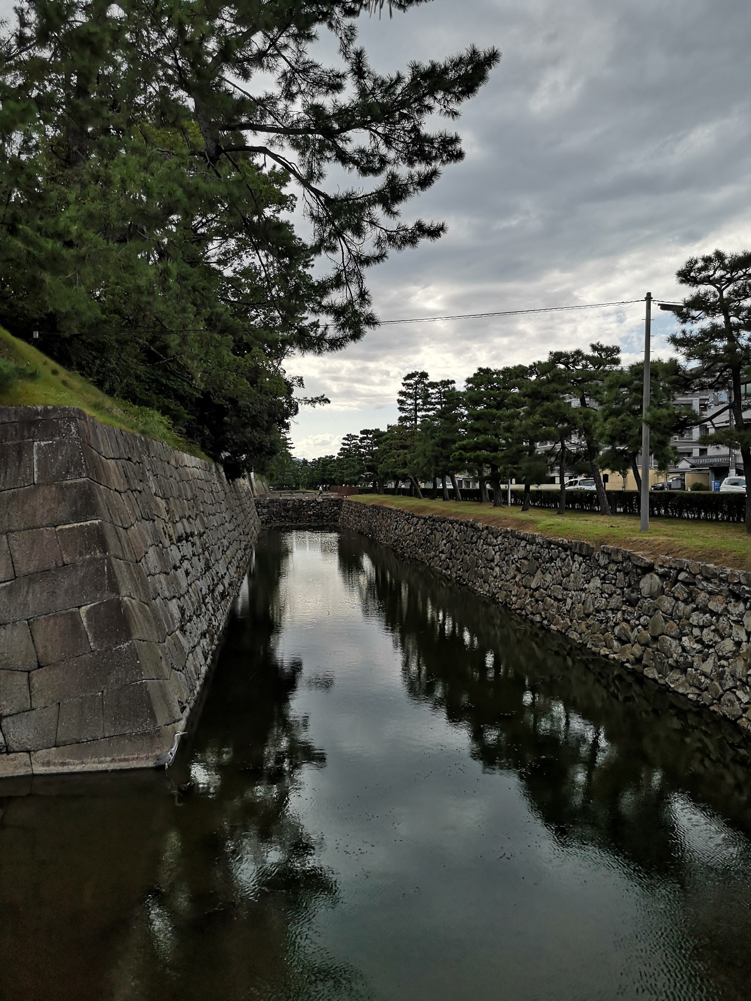 京都自助遊攻略