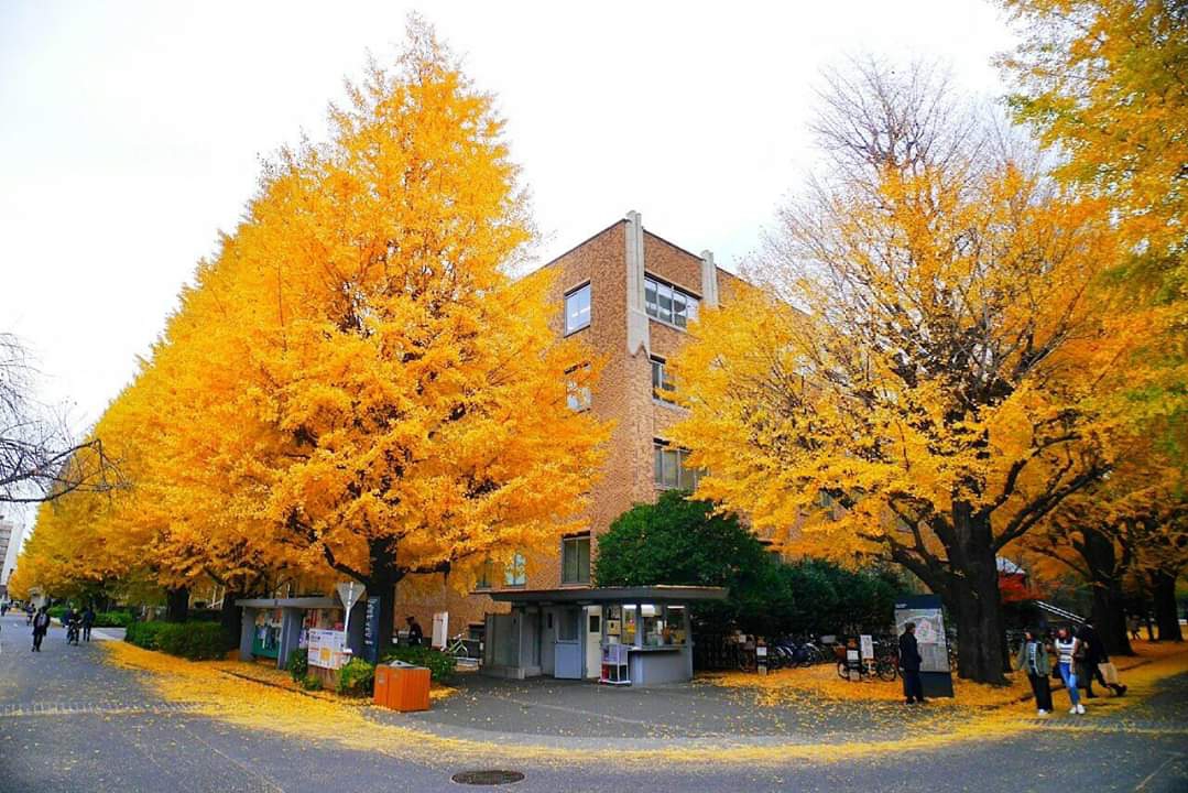 東京自助遊攻略