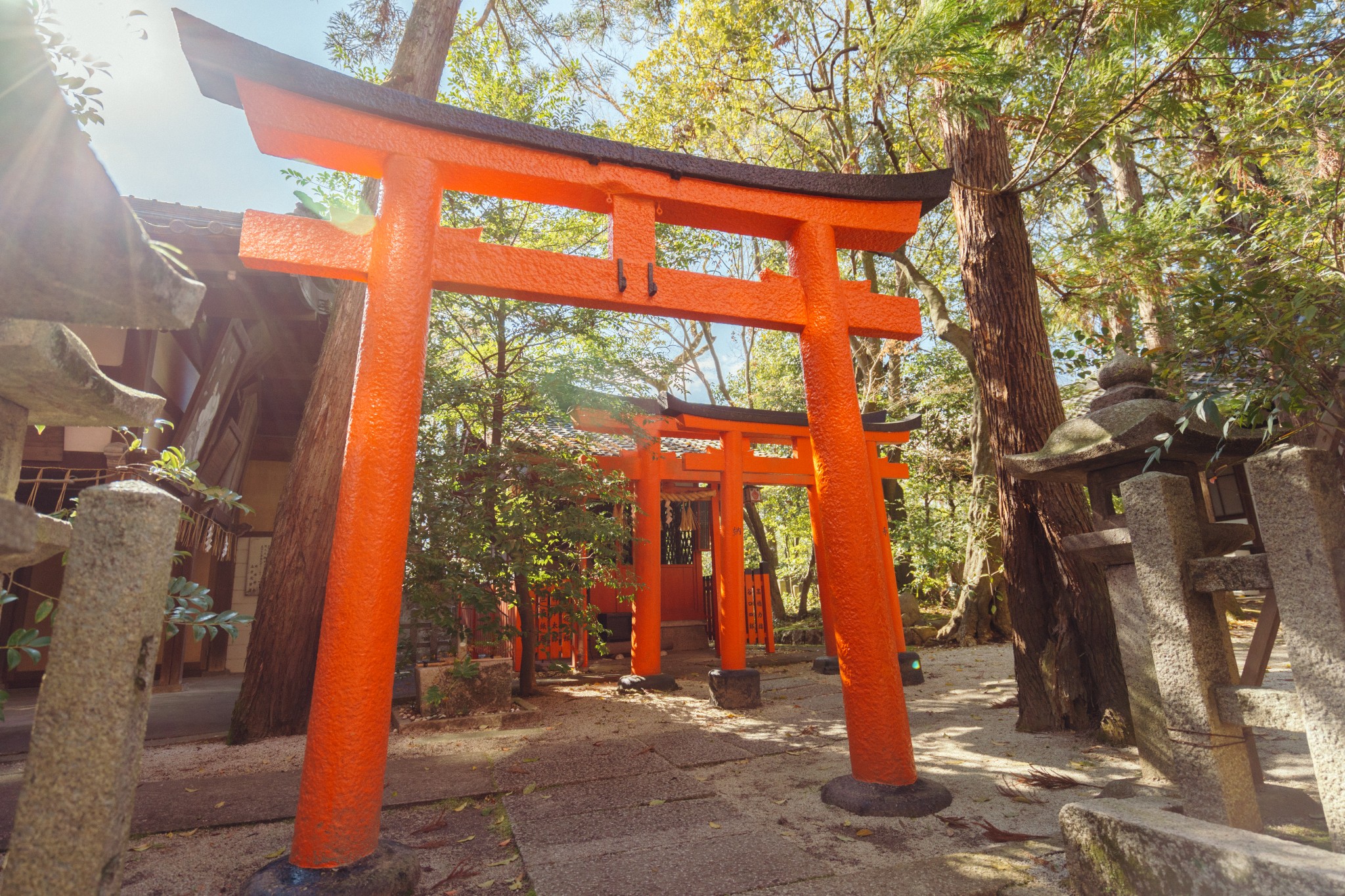 京都自助遊攻略