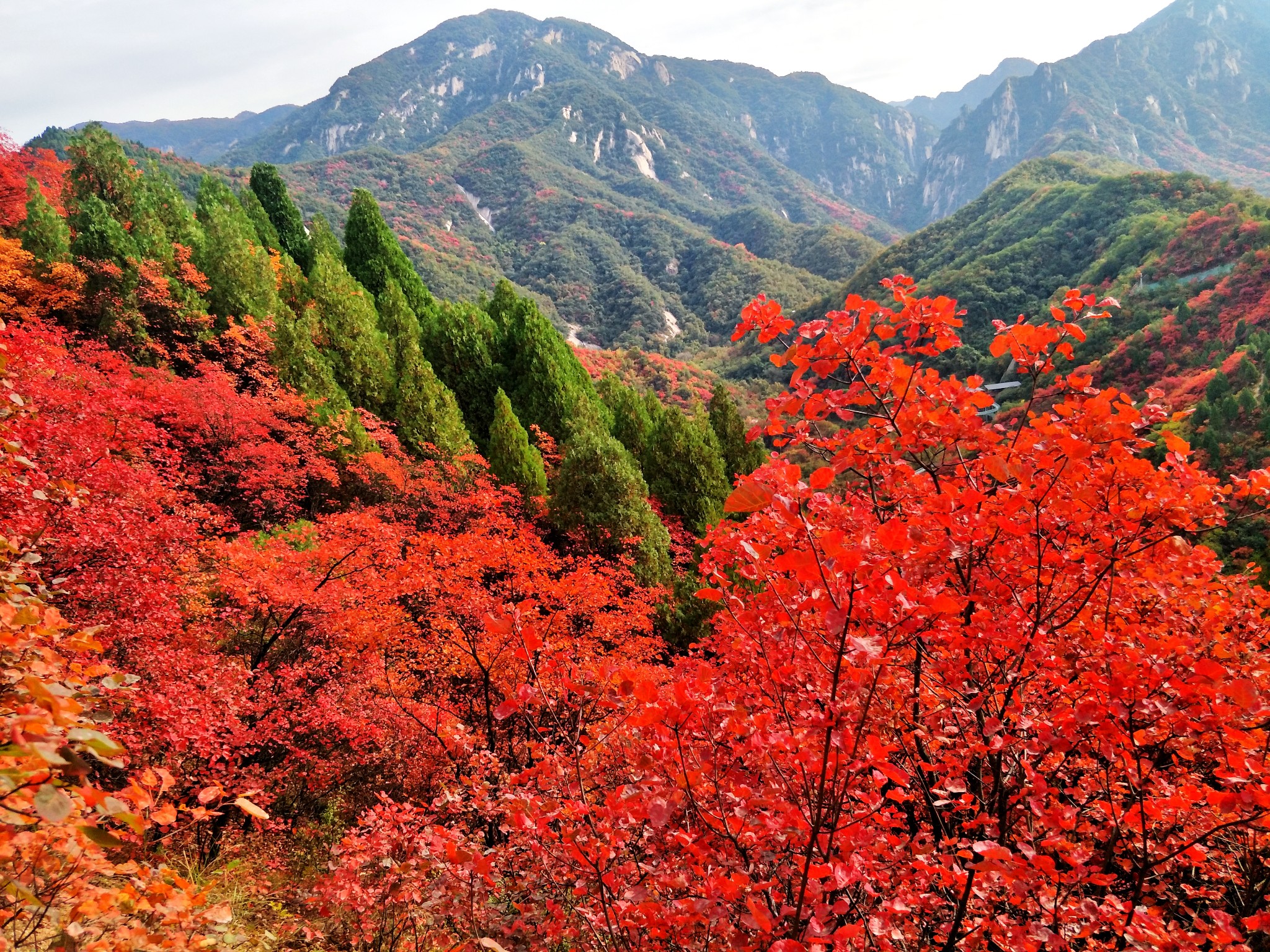 週末賞紅葉的好去處——洛寧神靈寨