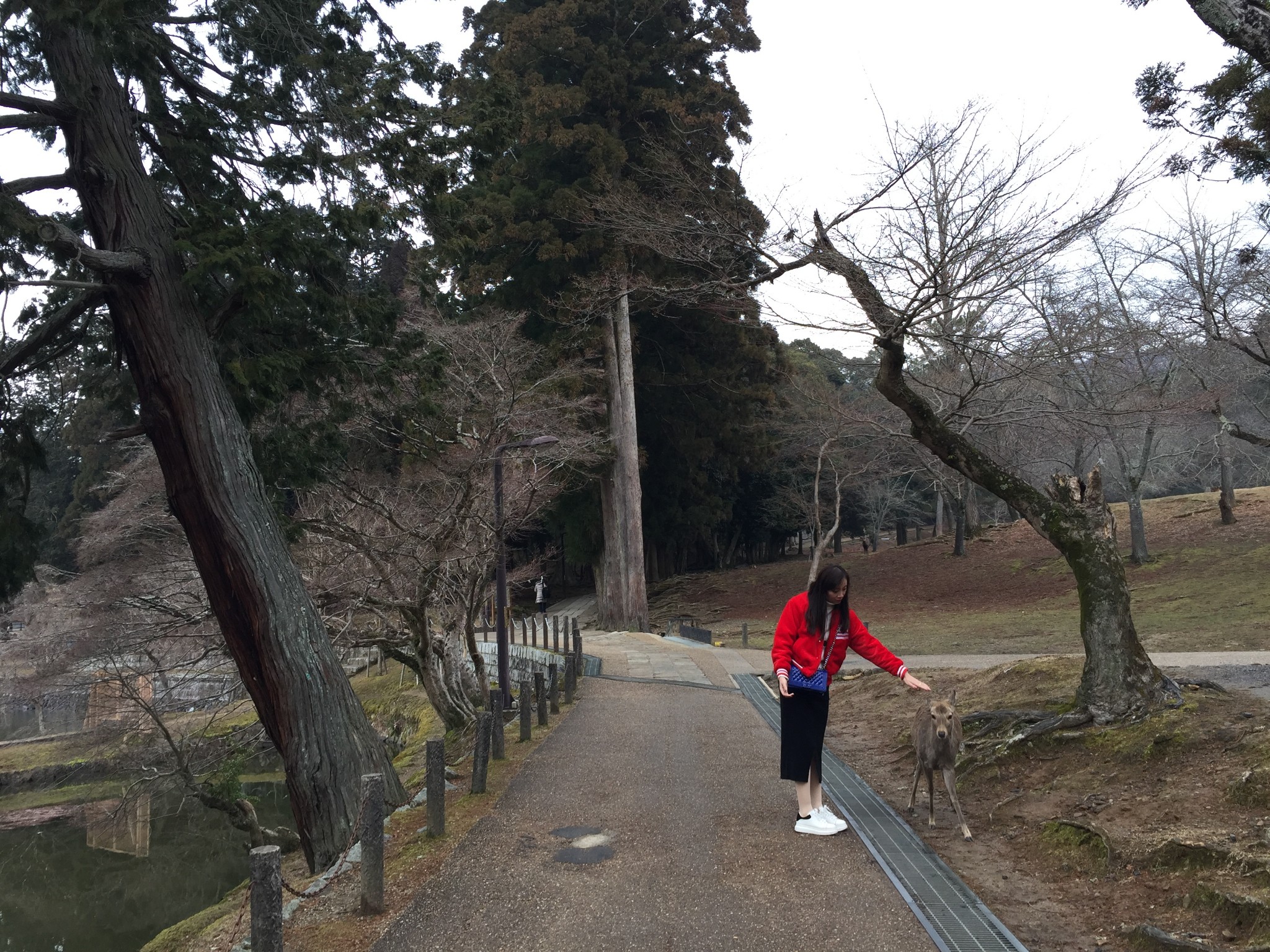 北海道自助遊攻略