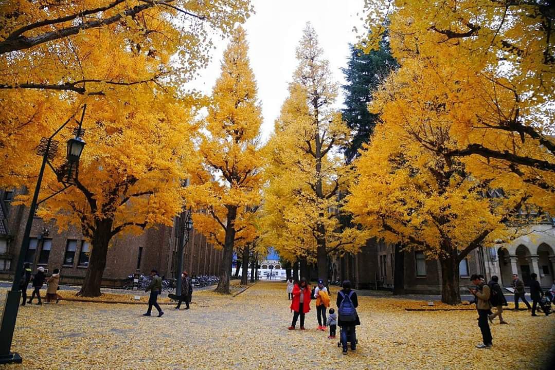 東京自助遊攻略