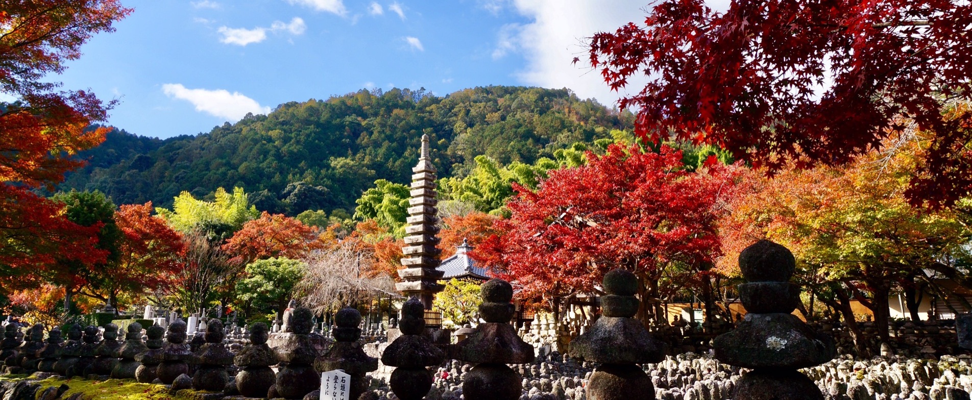 京都自助遊攻略