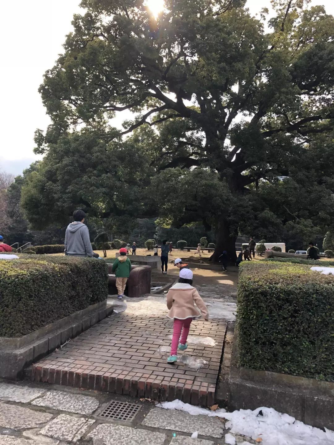 東京自助遊攻略