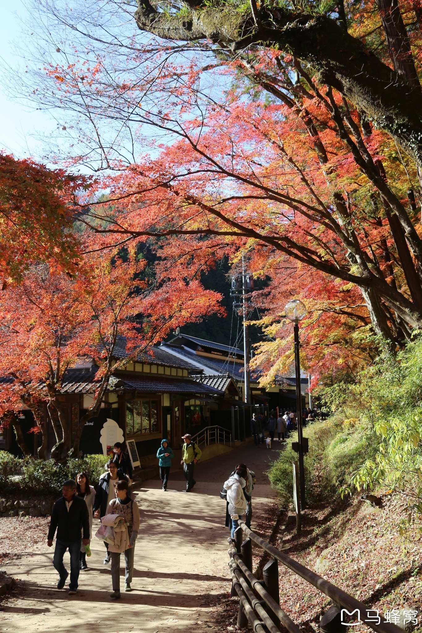 名古屋自助遊攻略