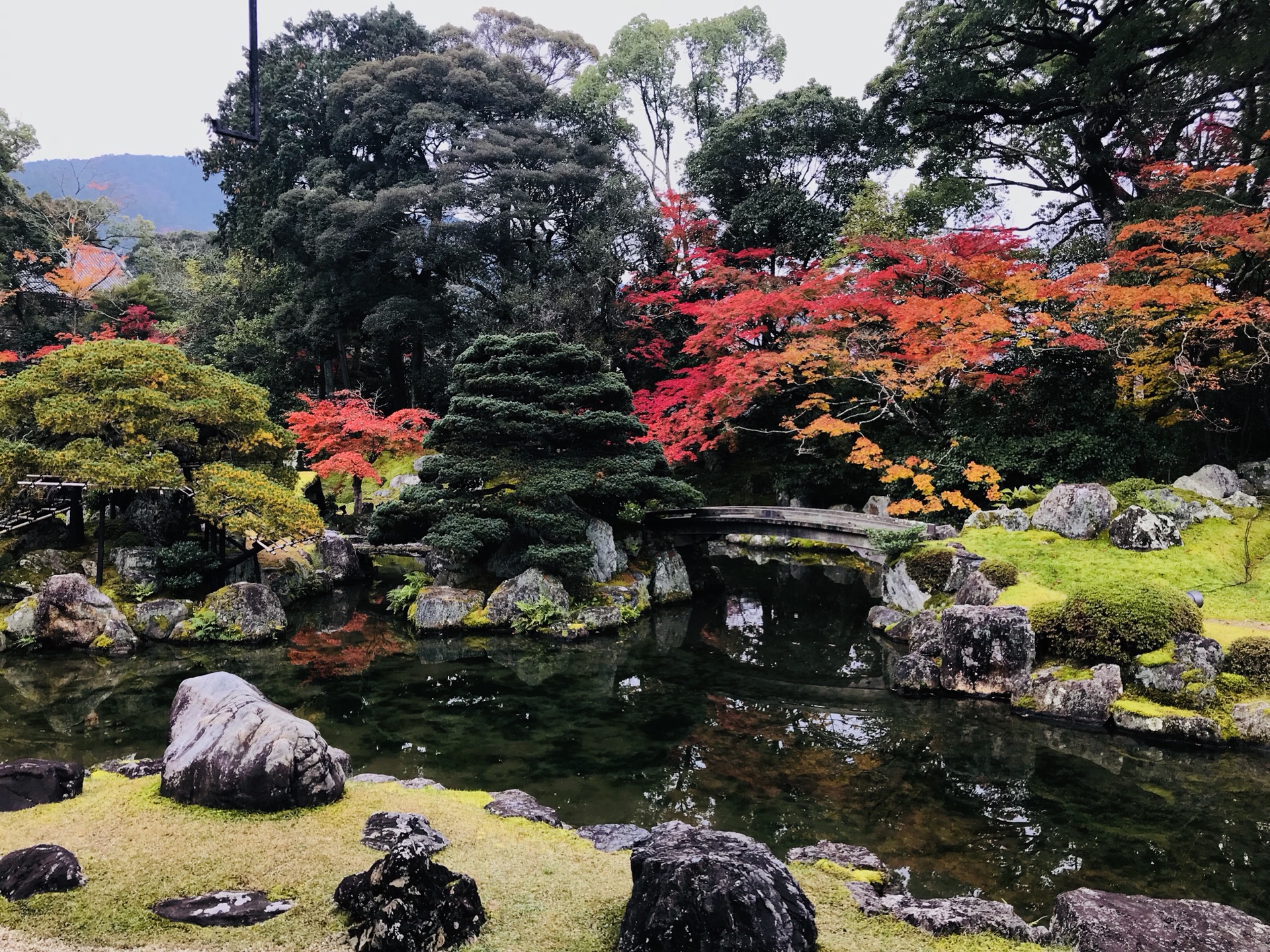 京都自助遊攻略