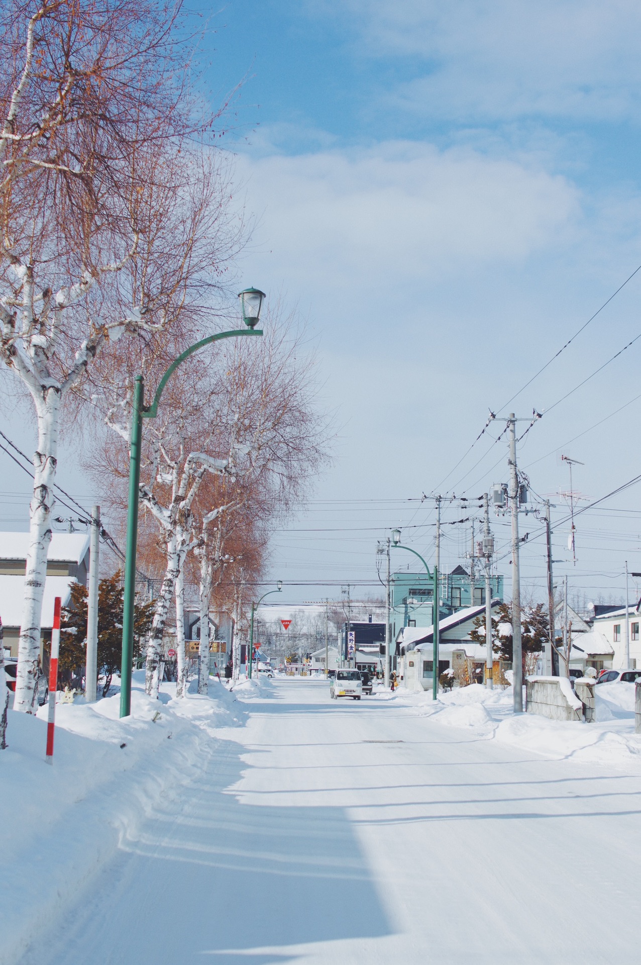 北海道自助遊攻略