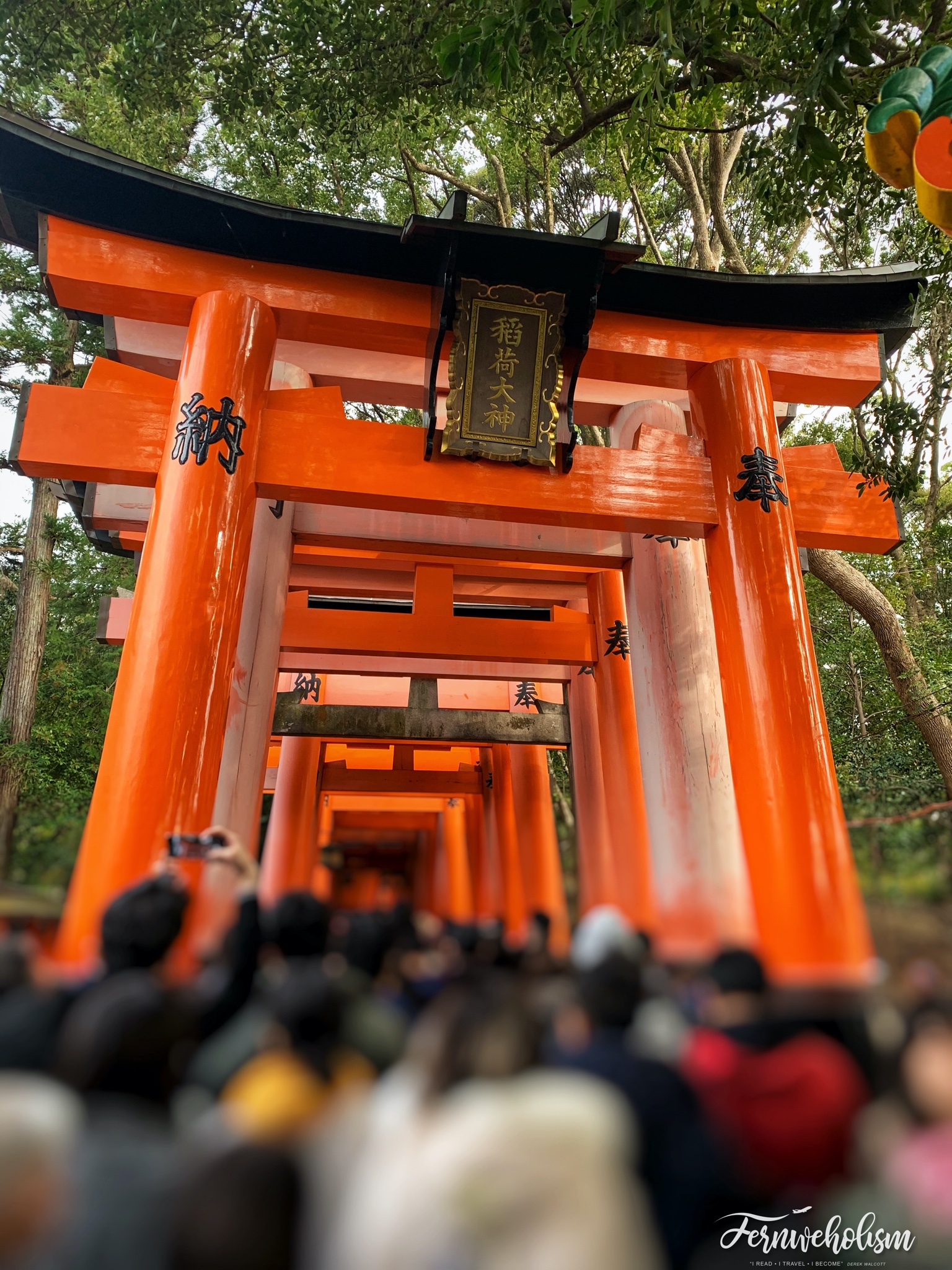 京都自助遊攻略