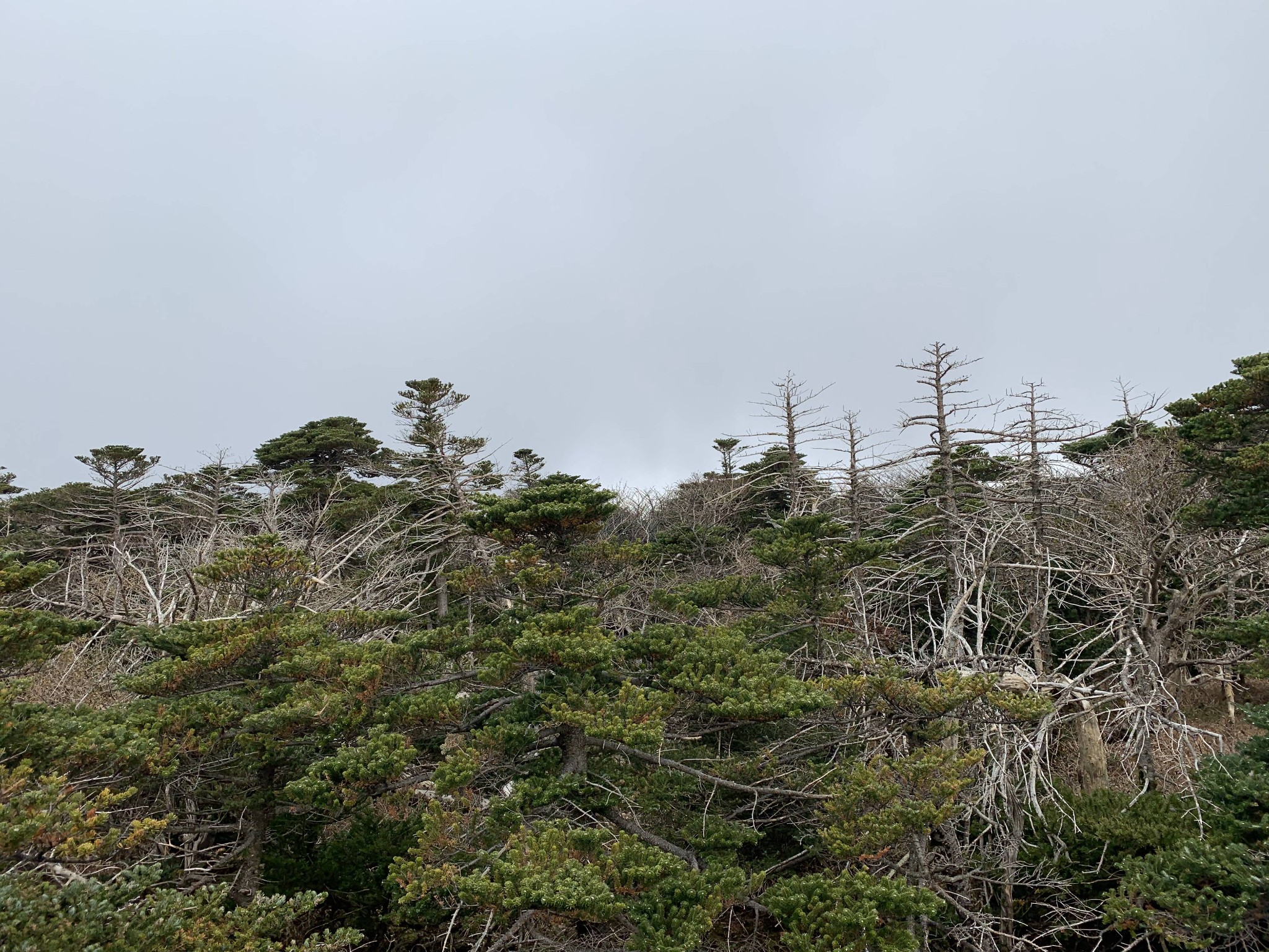 濟州島自助遊攻略