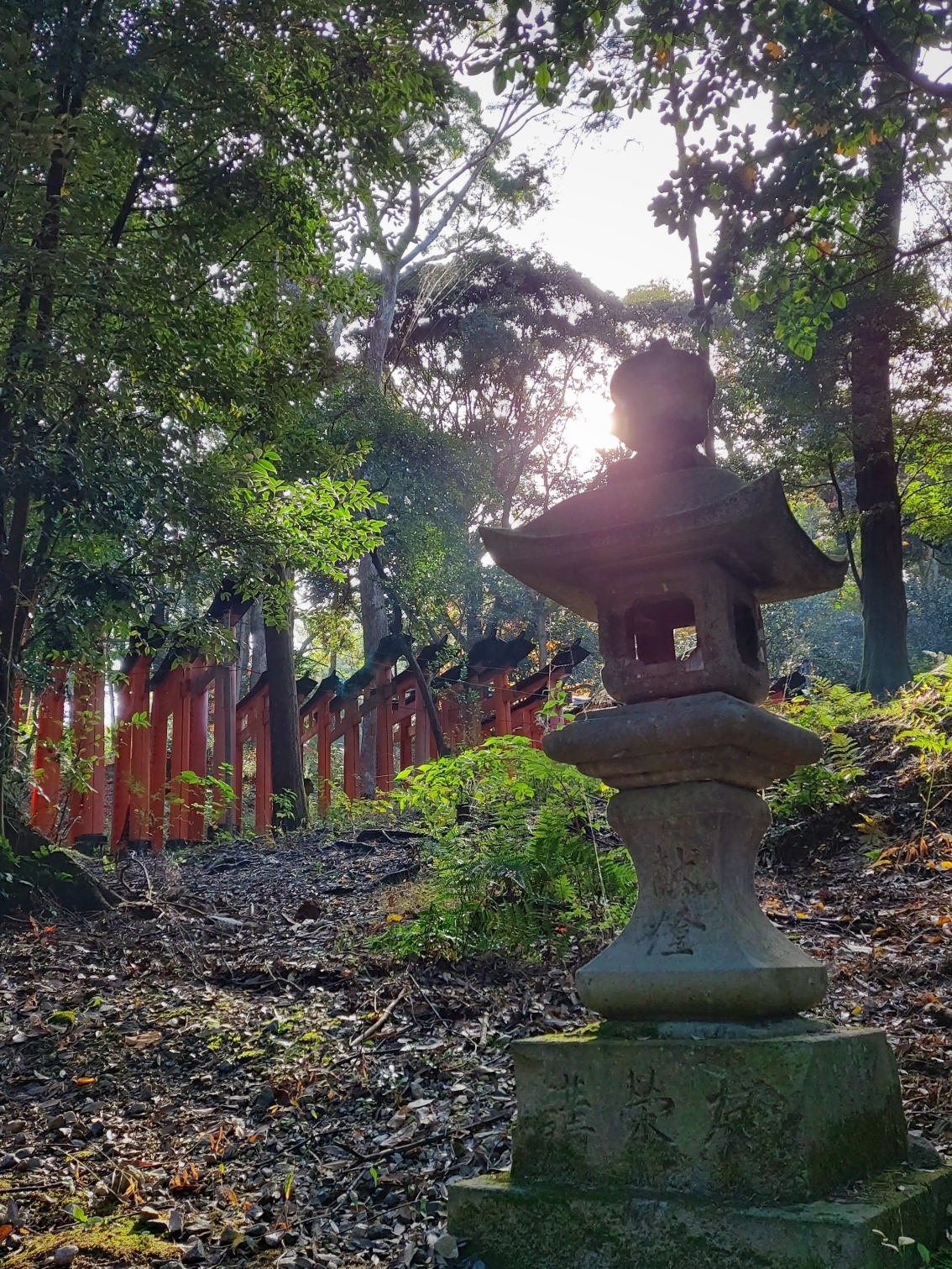 京都自助遊攻略