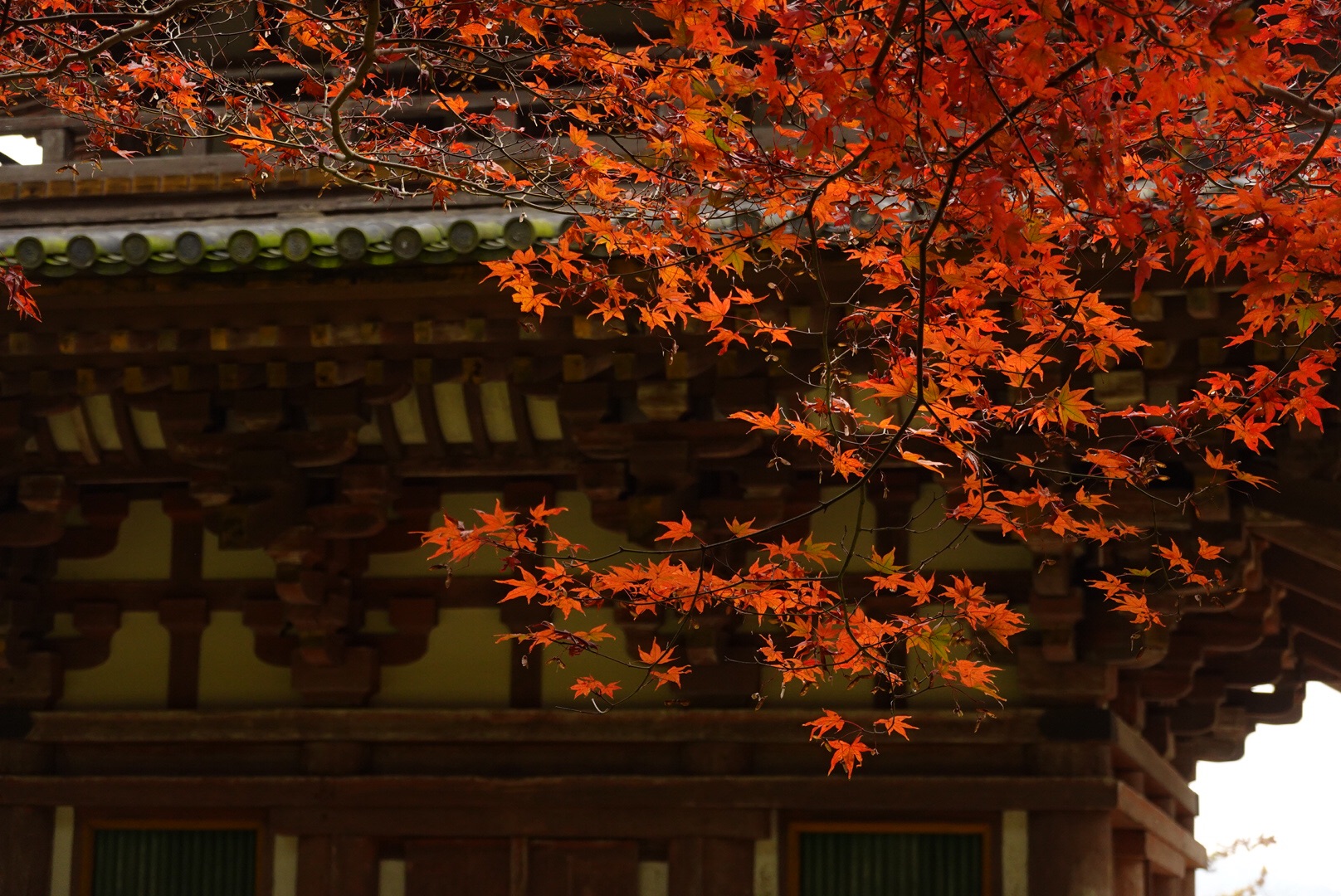 京都自助遊攻略