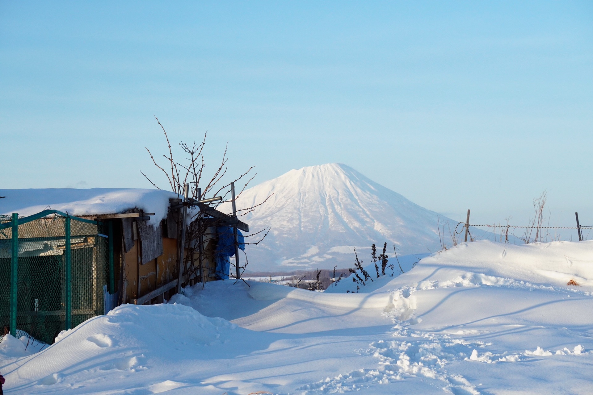 北海道自助遊攻略