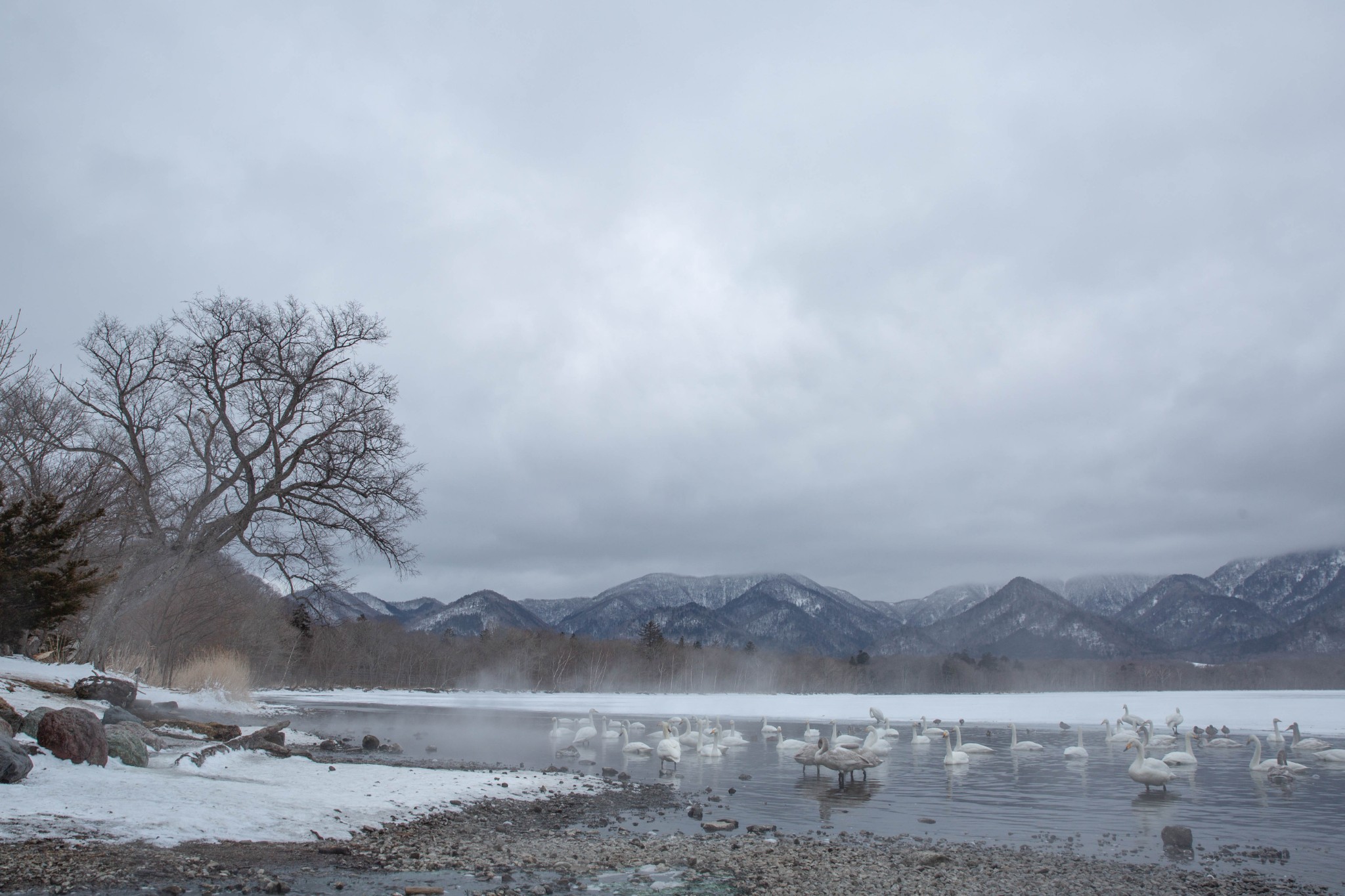 北海道自助遊攻略