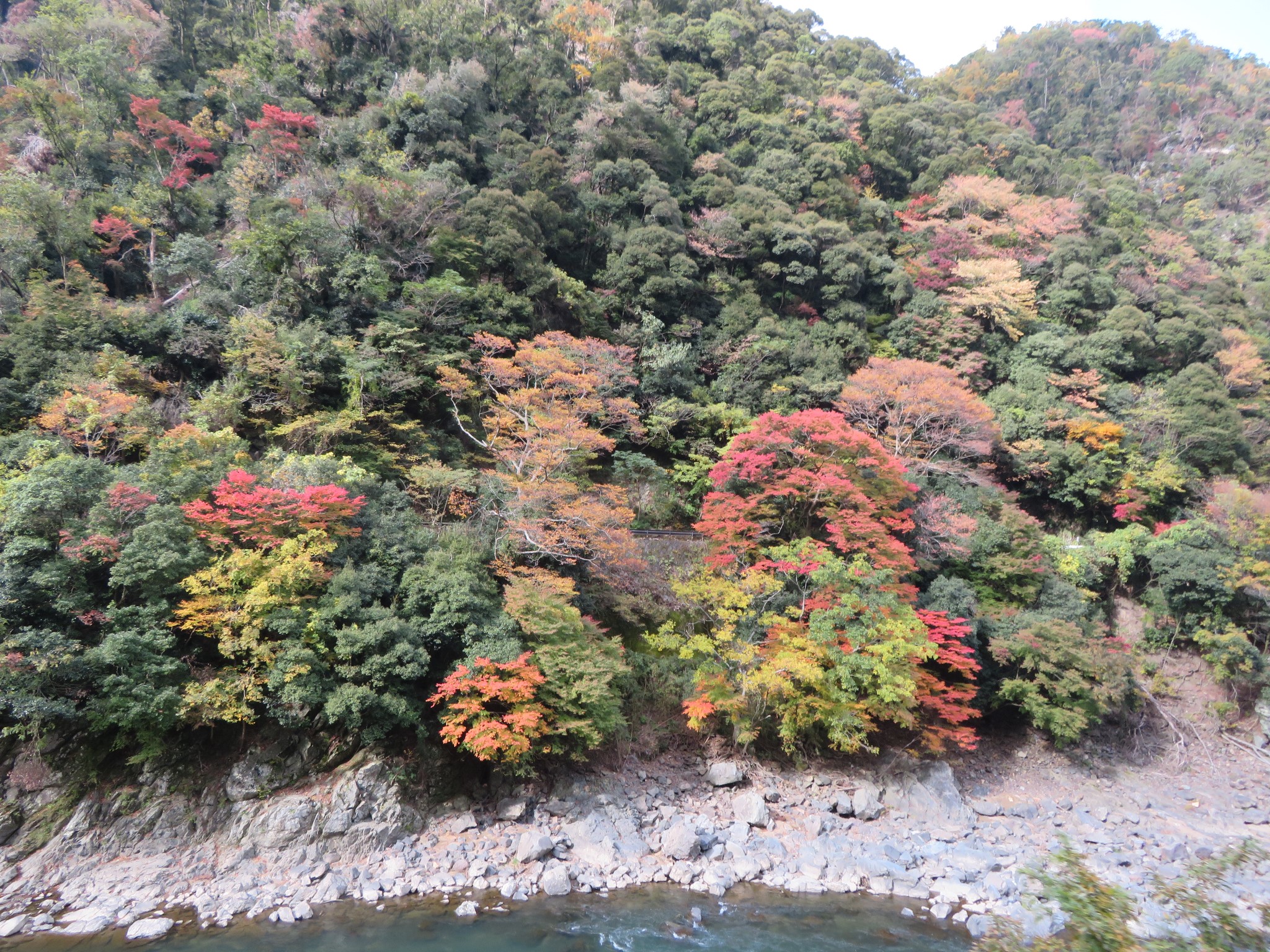 京都自助遊攻略