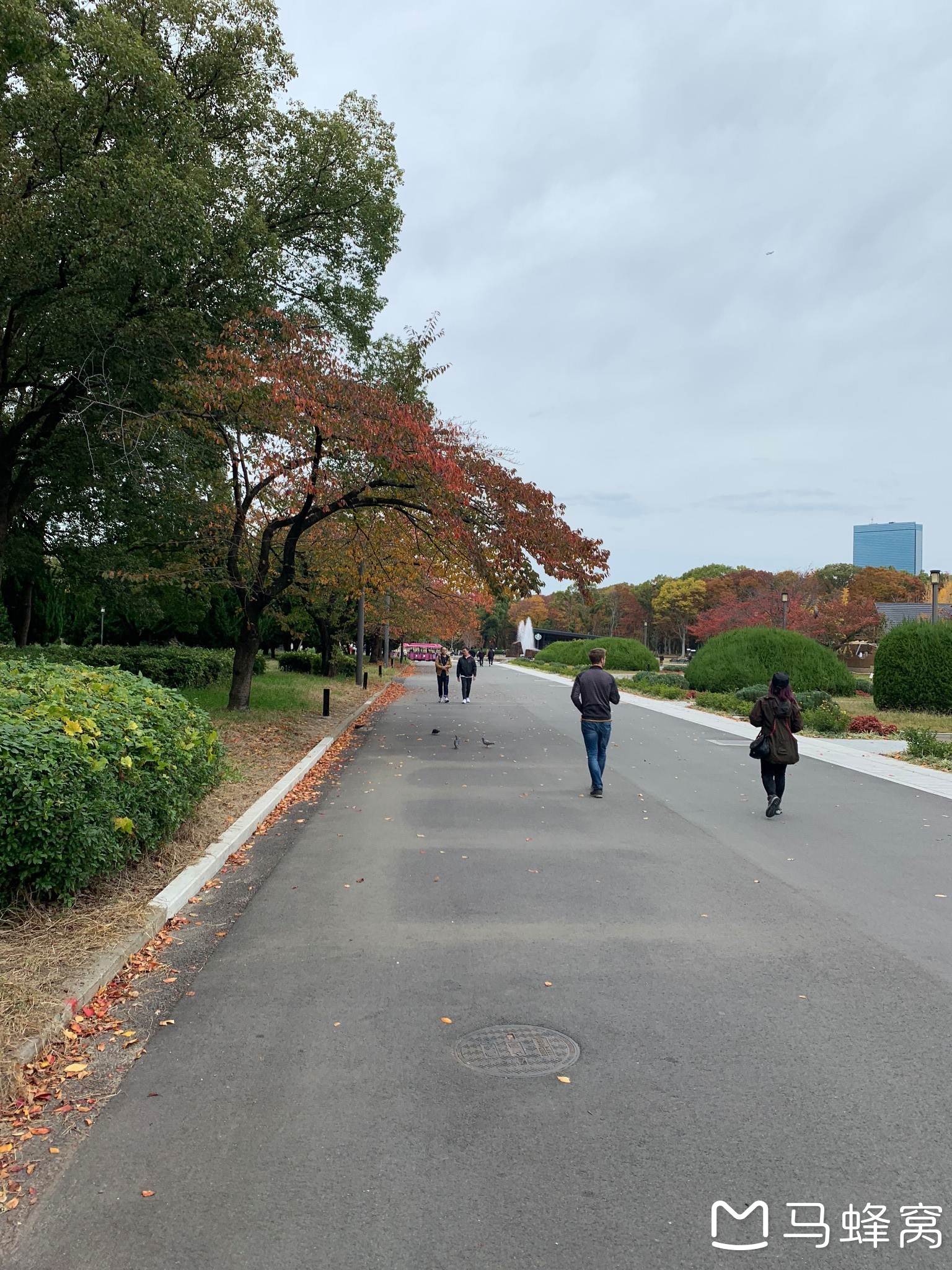 東京自助遊攻略