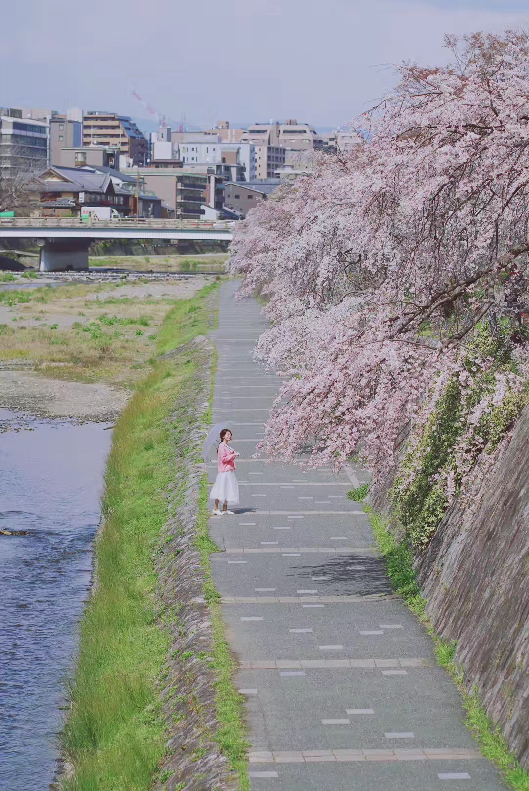 京都自助遊攻略