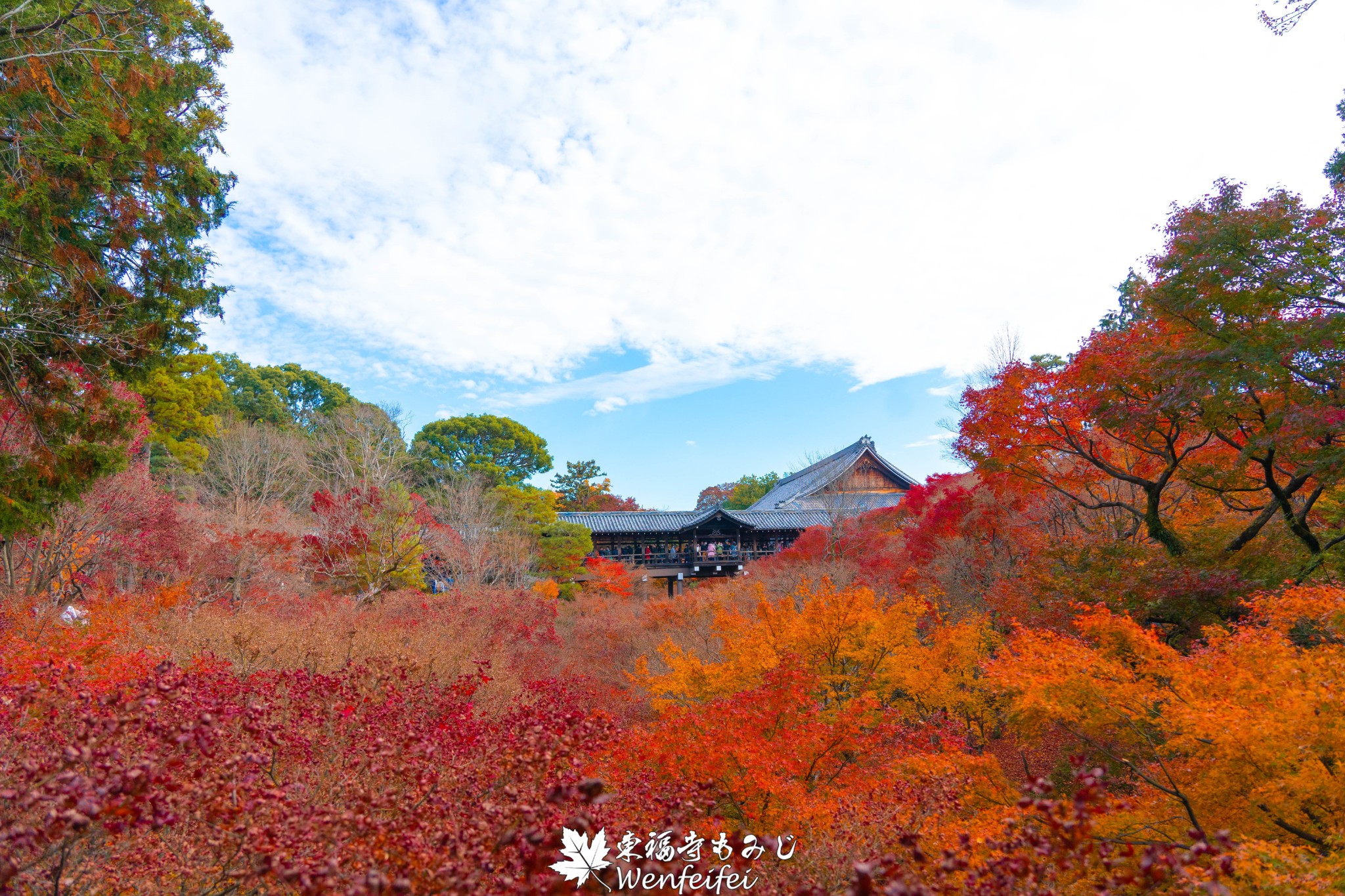 京都自助遊攻略