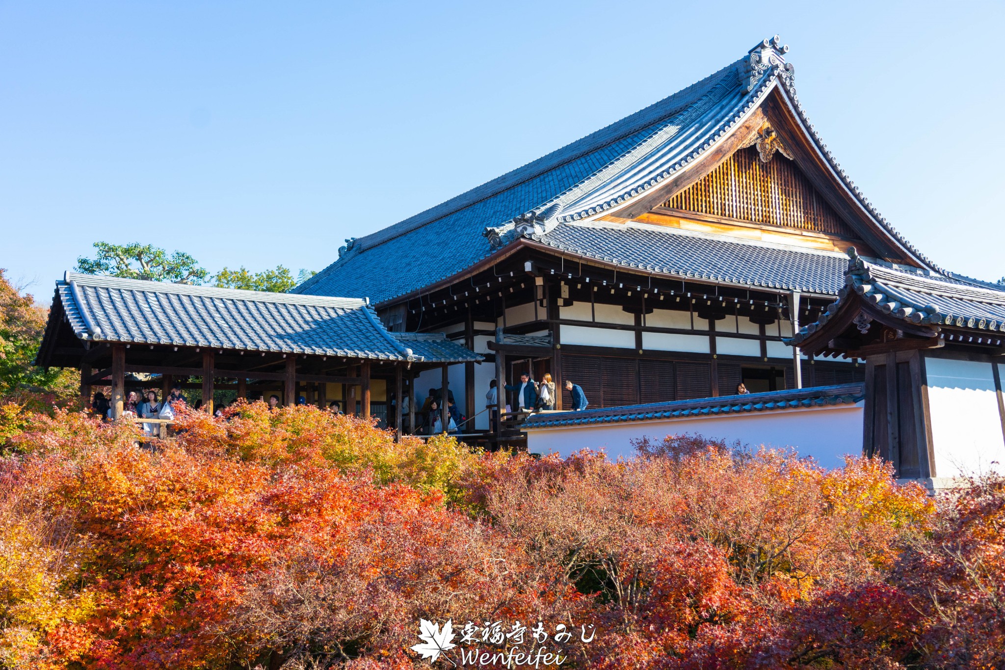 京都自助遊攻略