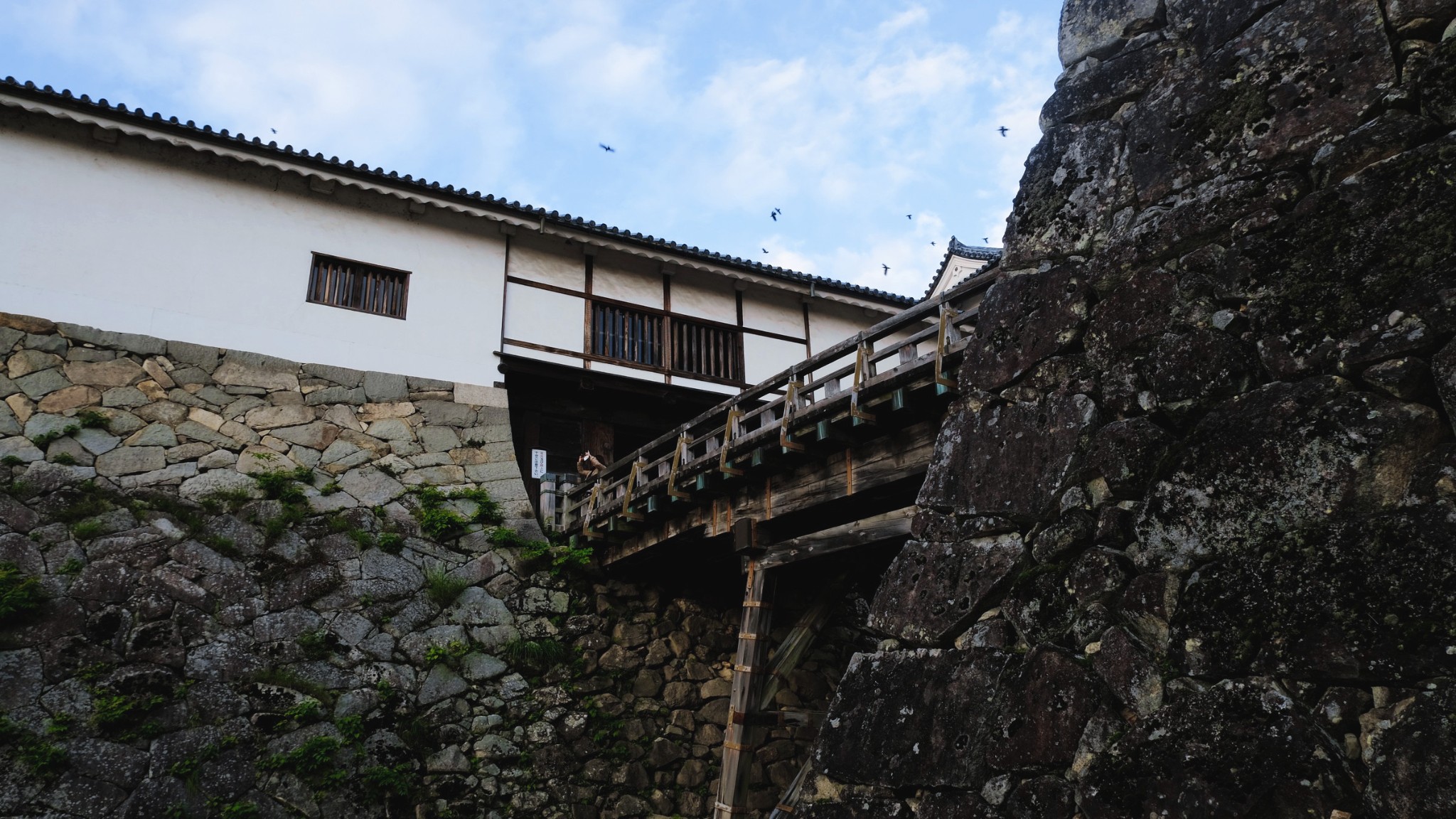 彦根市旅游图片