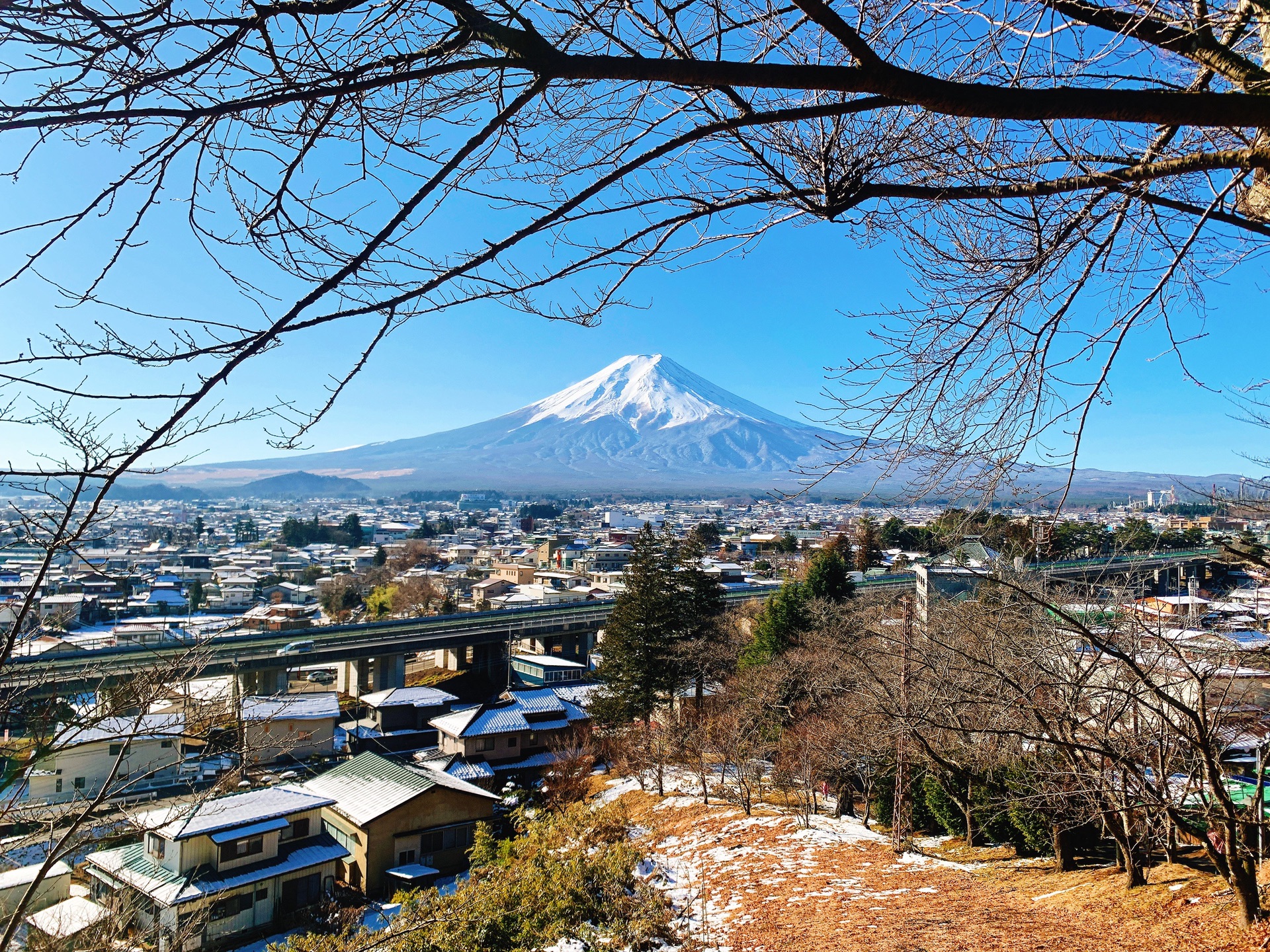 東京自助遊攻略