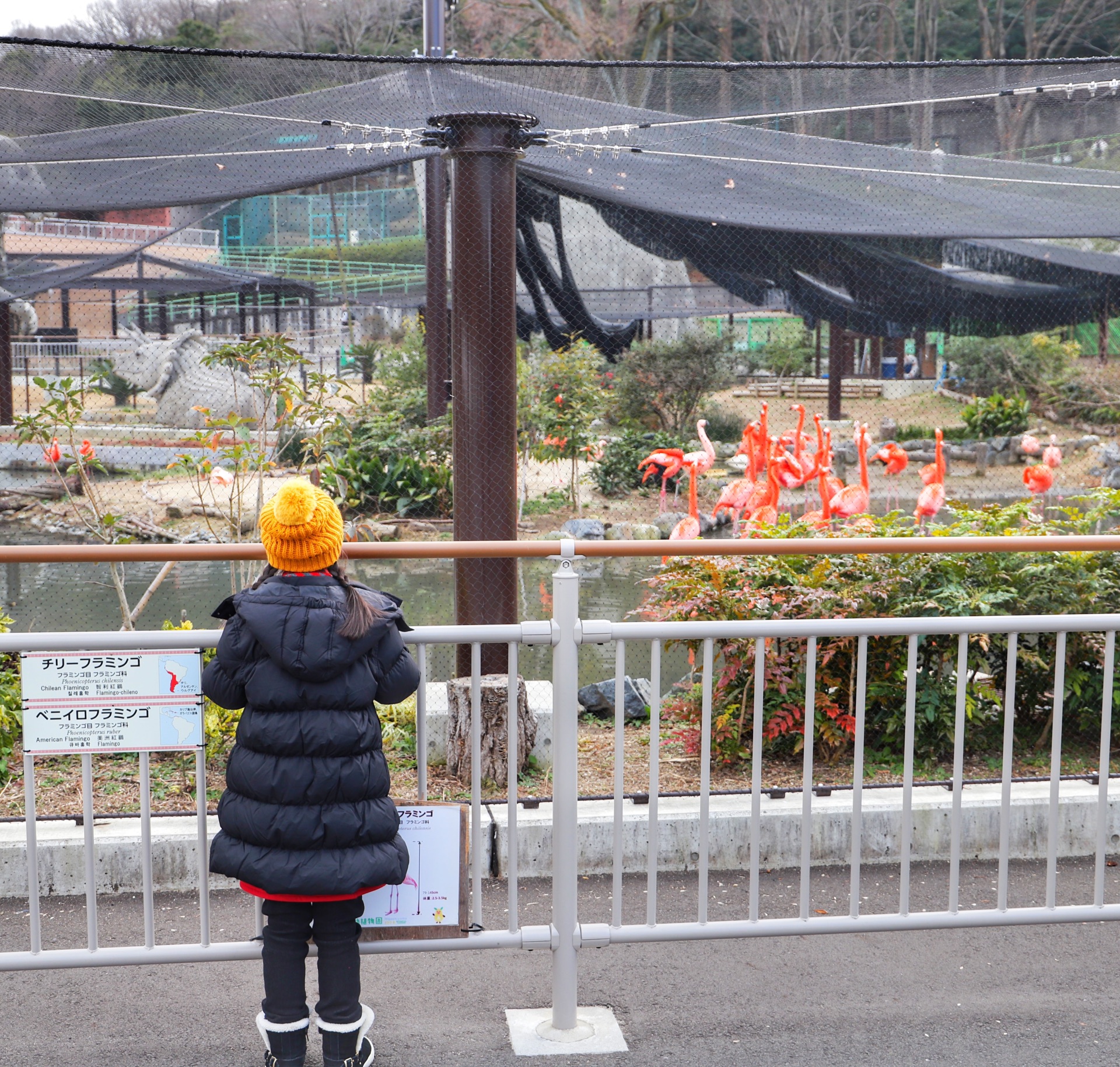 名古屋自助遊攻略