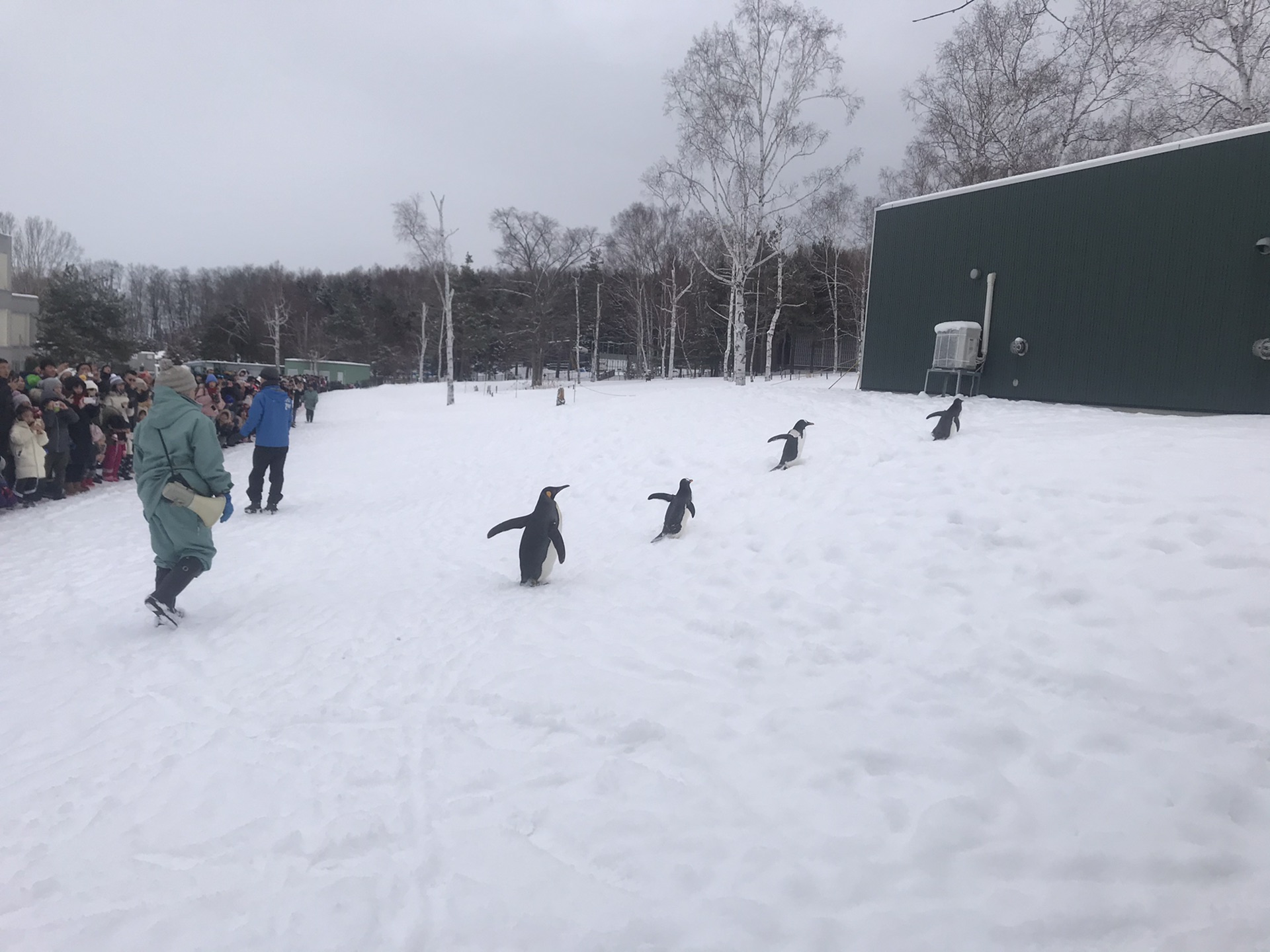 北海道自助遊攻略