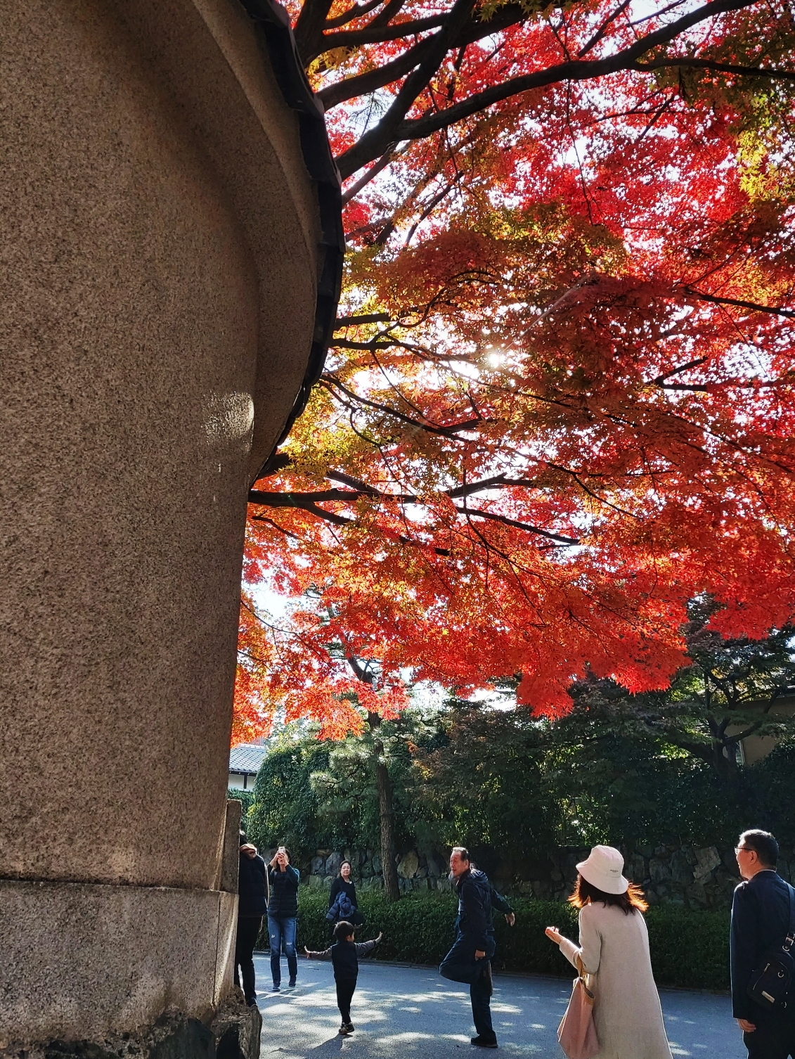 京都自助遊攻略