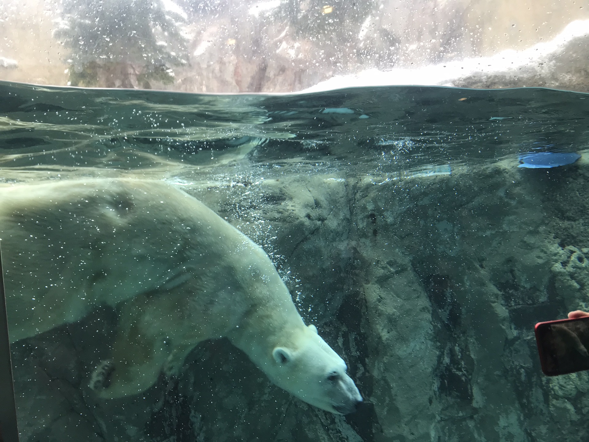 北海道自助遊攻略