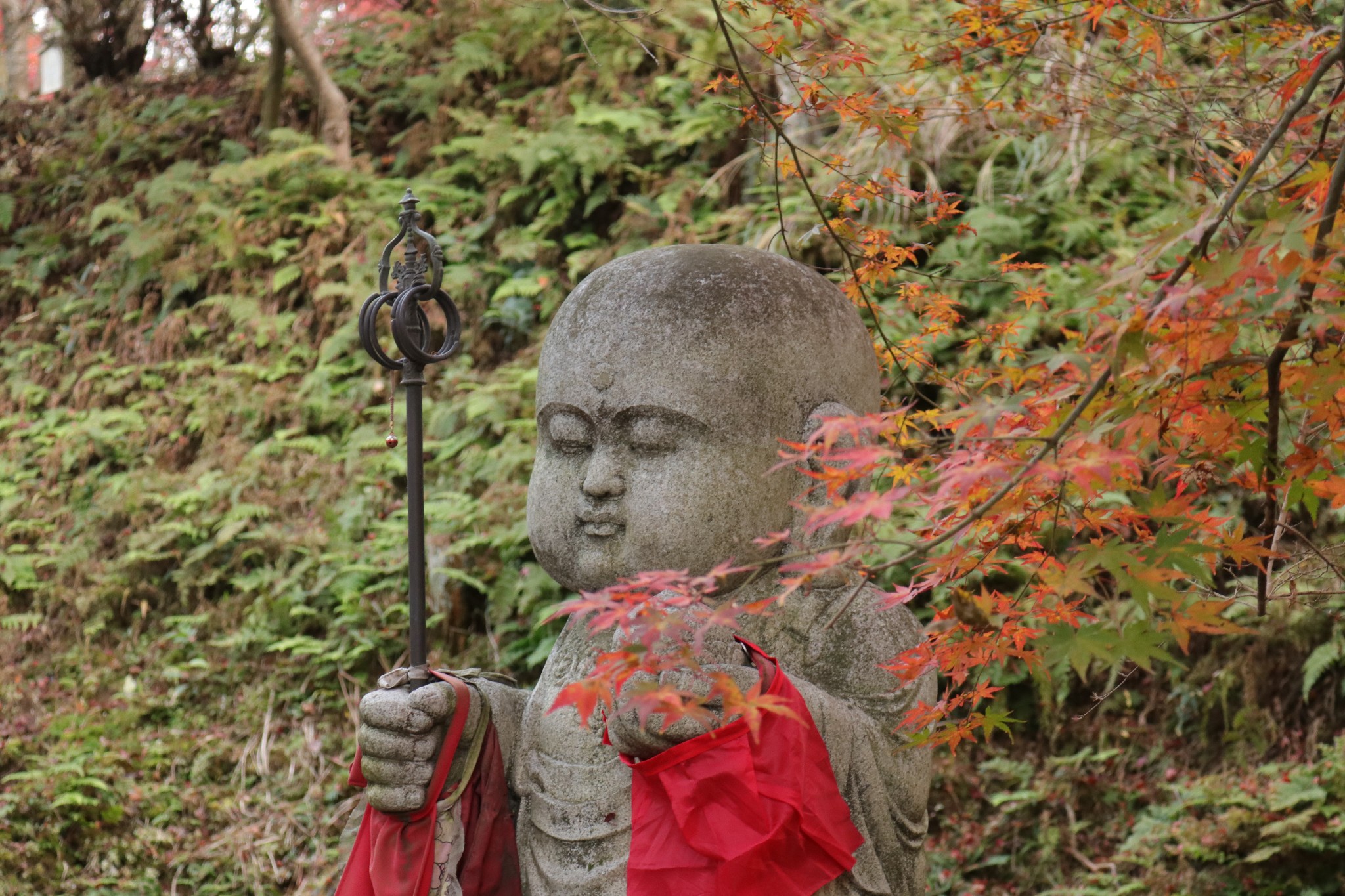 京都自助遊攻略