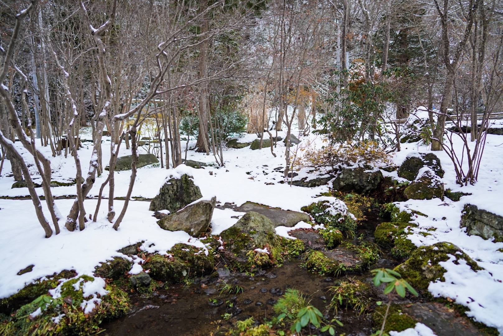 北海道自助遊攻略