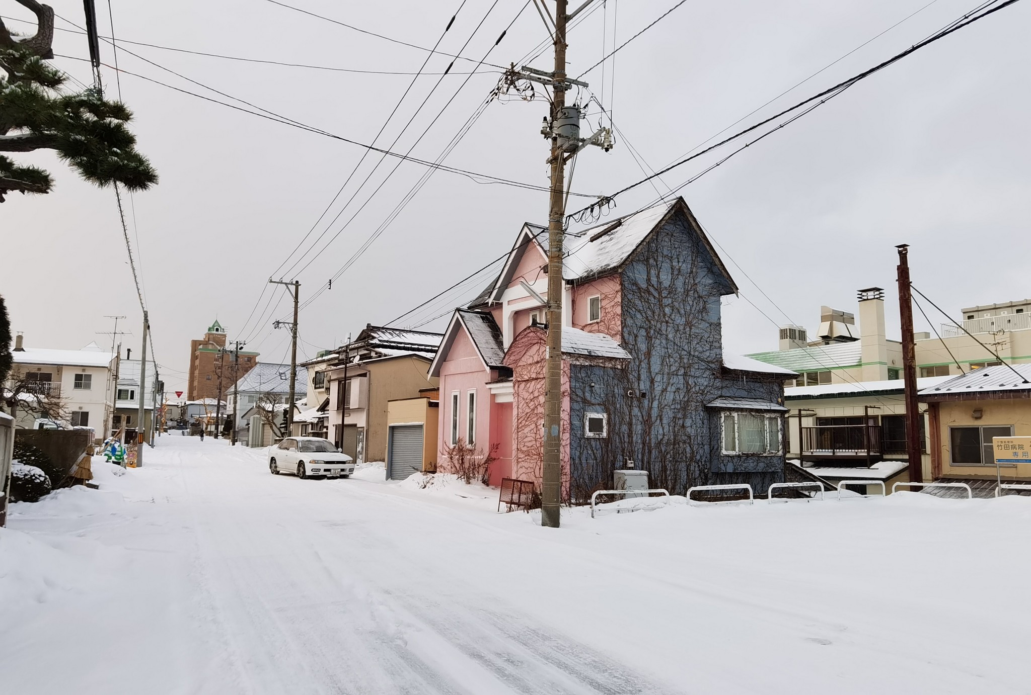 北海道自助遊攻略