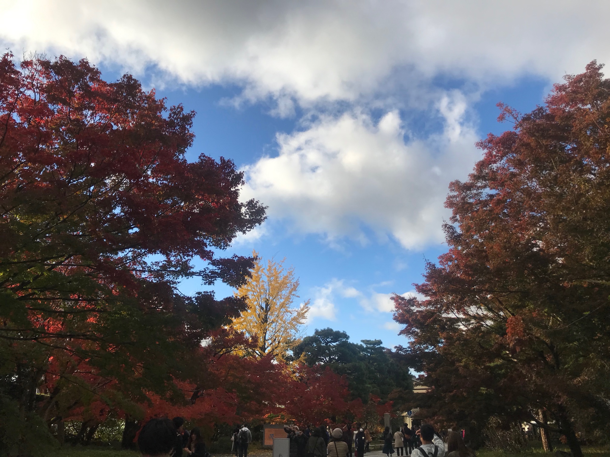 東京自助遊攻略