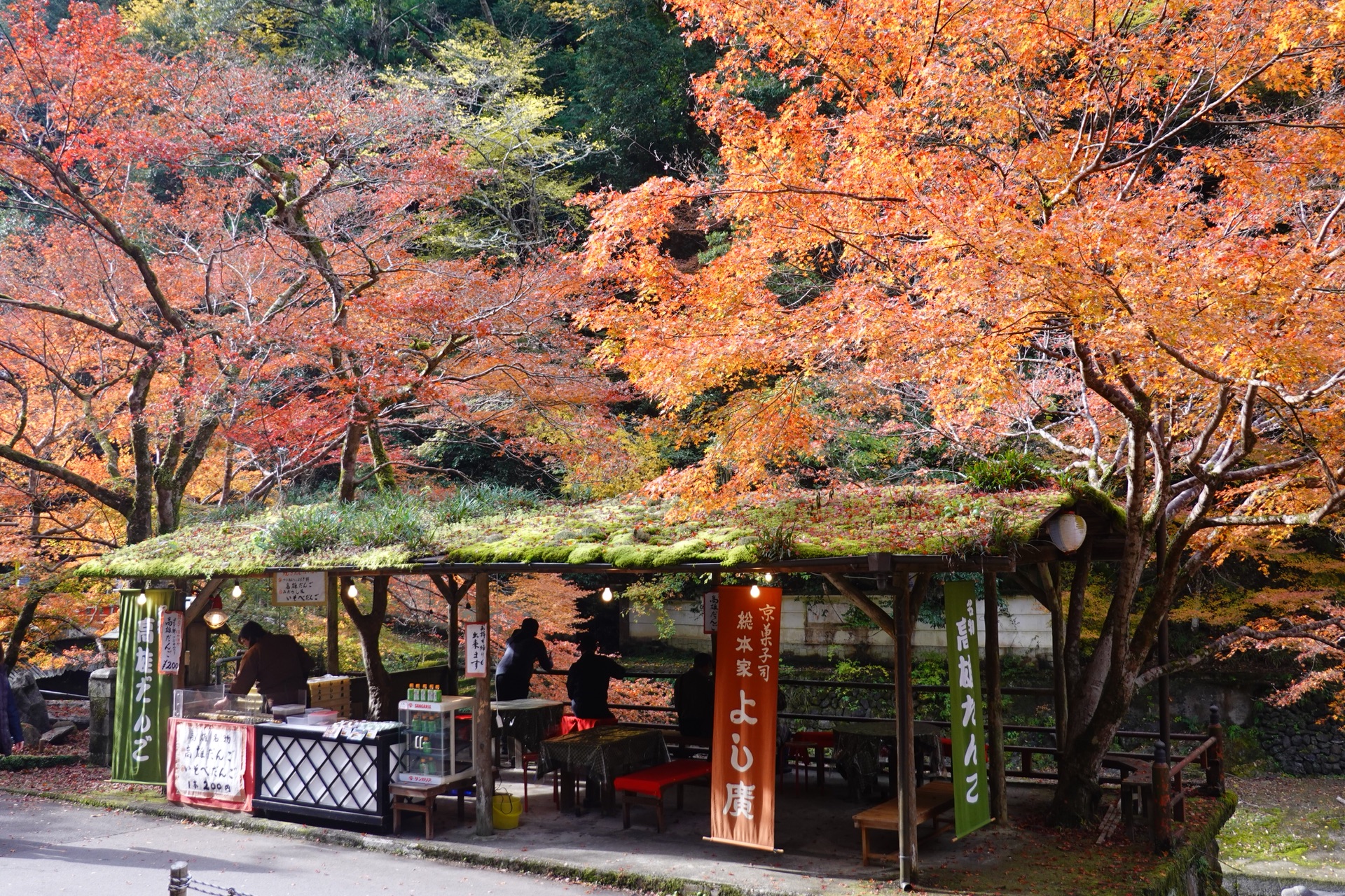 京都自助遊攻略