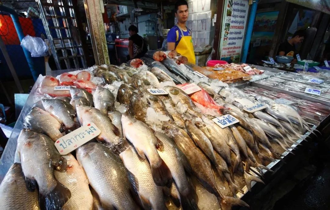 CoUBGV4Wi4OAYn26AAJvpzsQh3s15.jpeg?imageView2%2F2%2Fw%2F680%2Fq%2F90