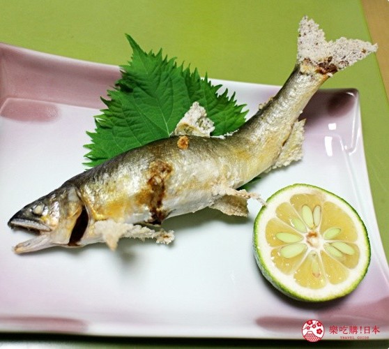 日本最后清流「四万十川」的绝品美味:野生鳗鱼,野生香鱼,河虾 一般