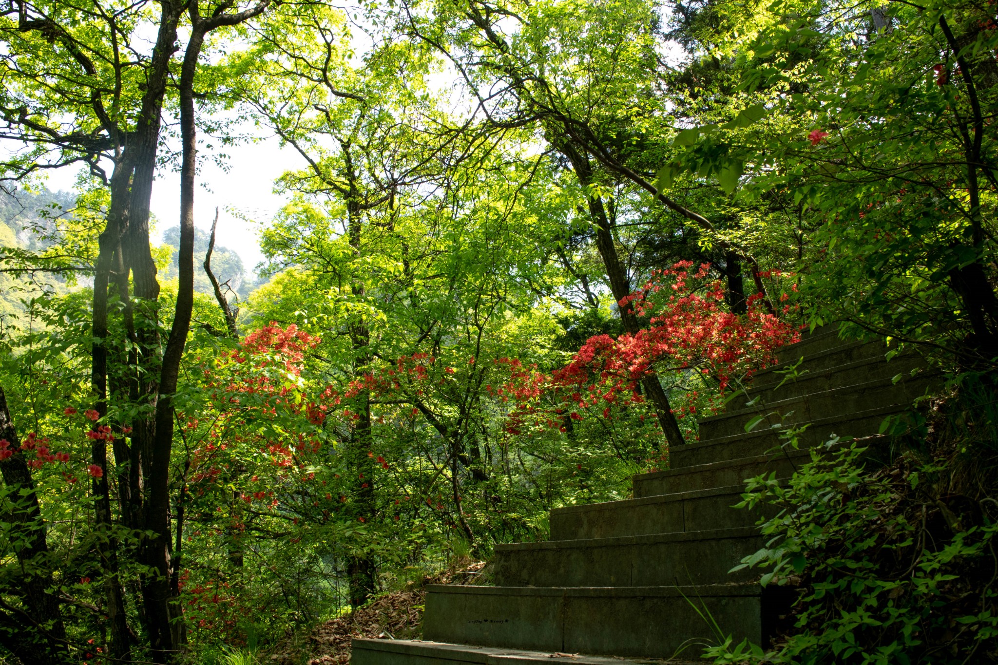 201678春游伏龙山,十堰自助游攻略 - 马蜂窝