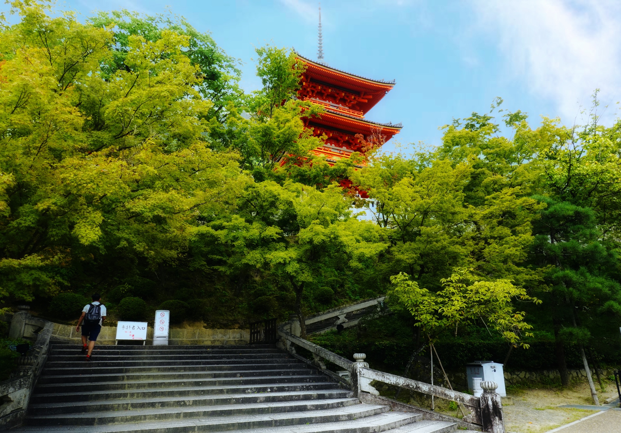 京都自助遊攻略