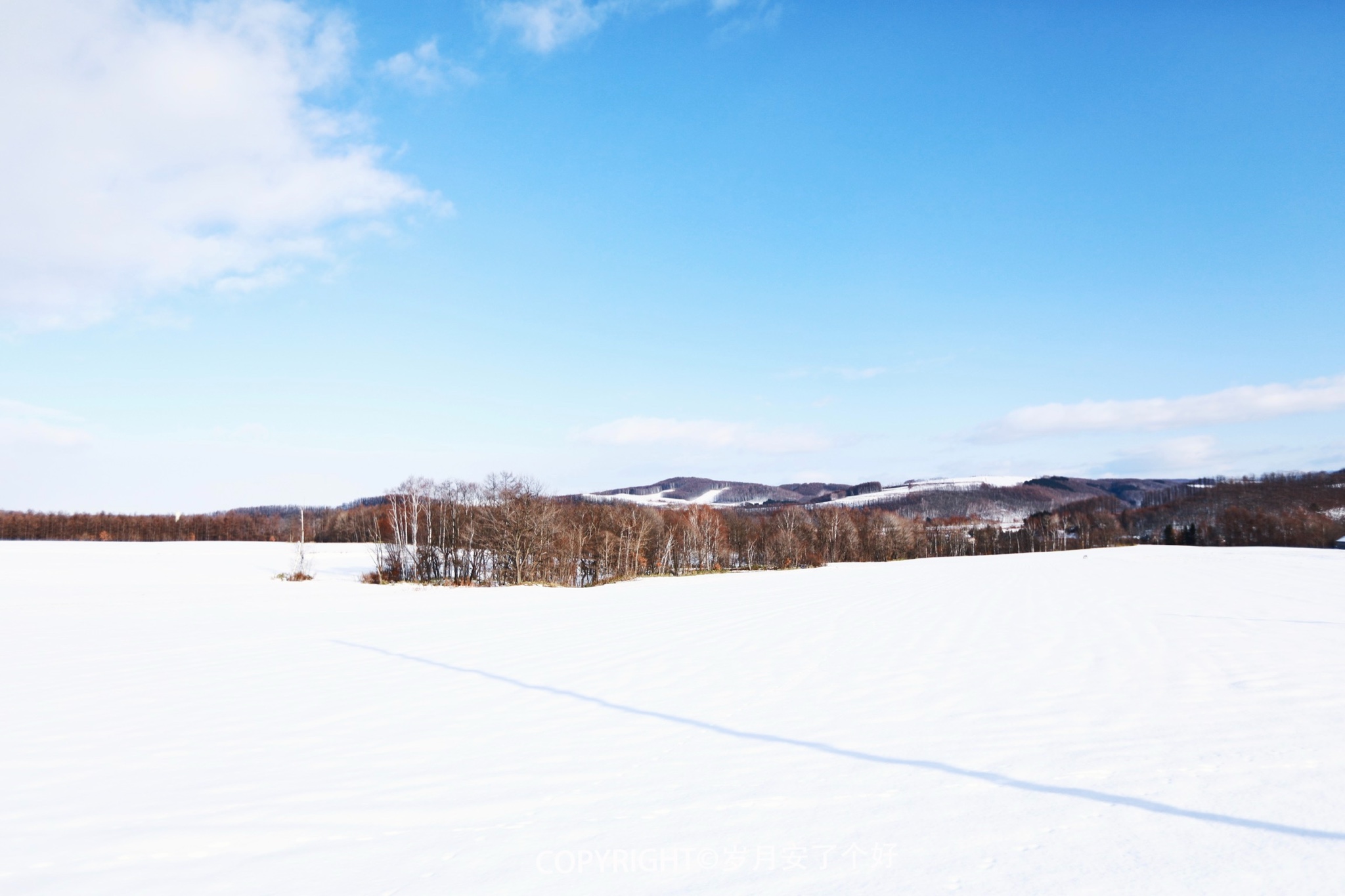 北海道自助遊攻略