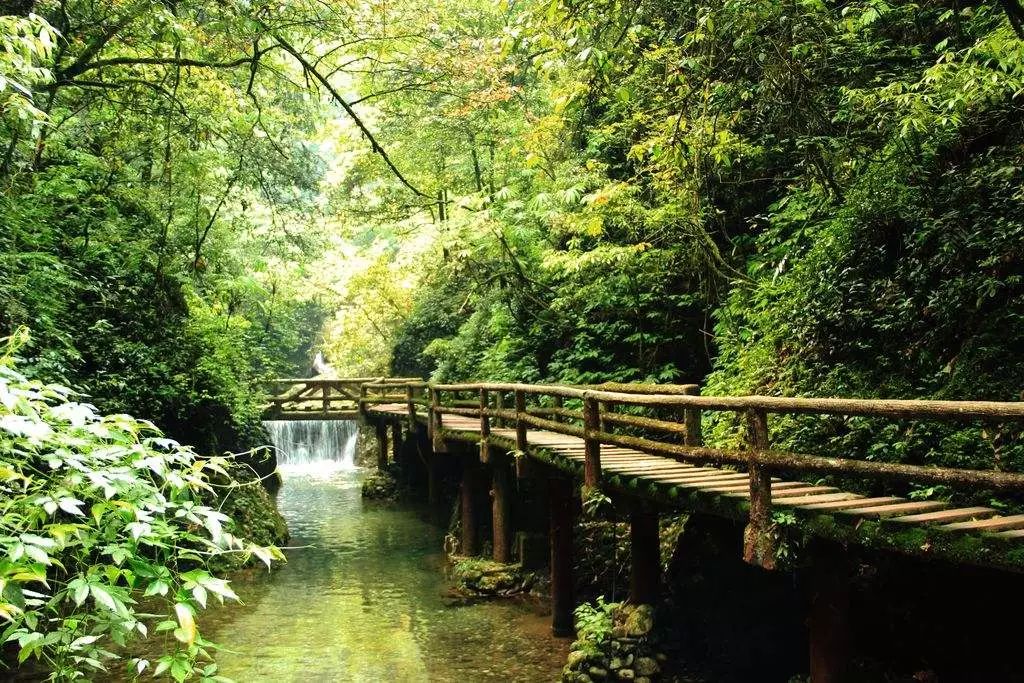 青城山青城山又一村图片