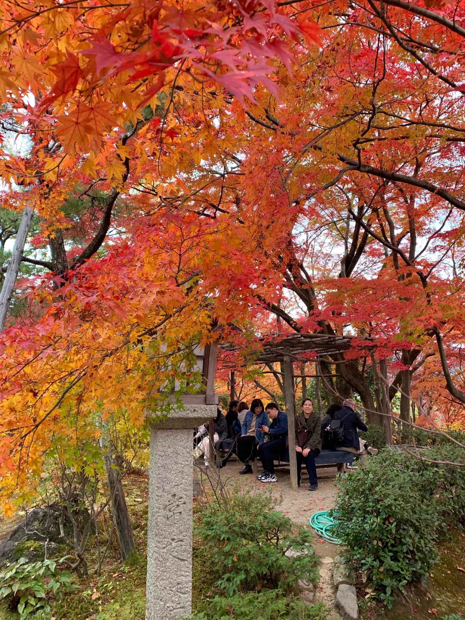 京都自助遊攻略