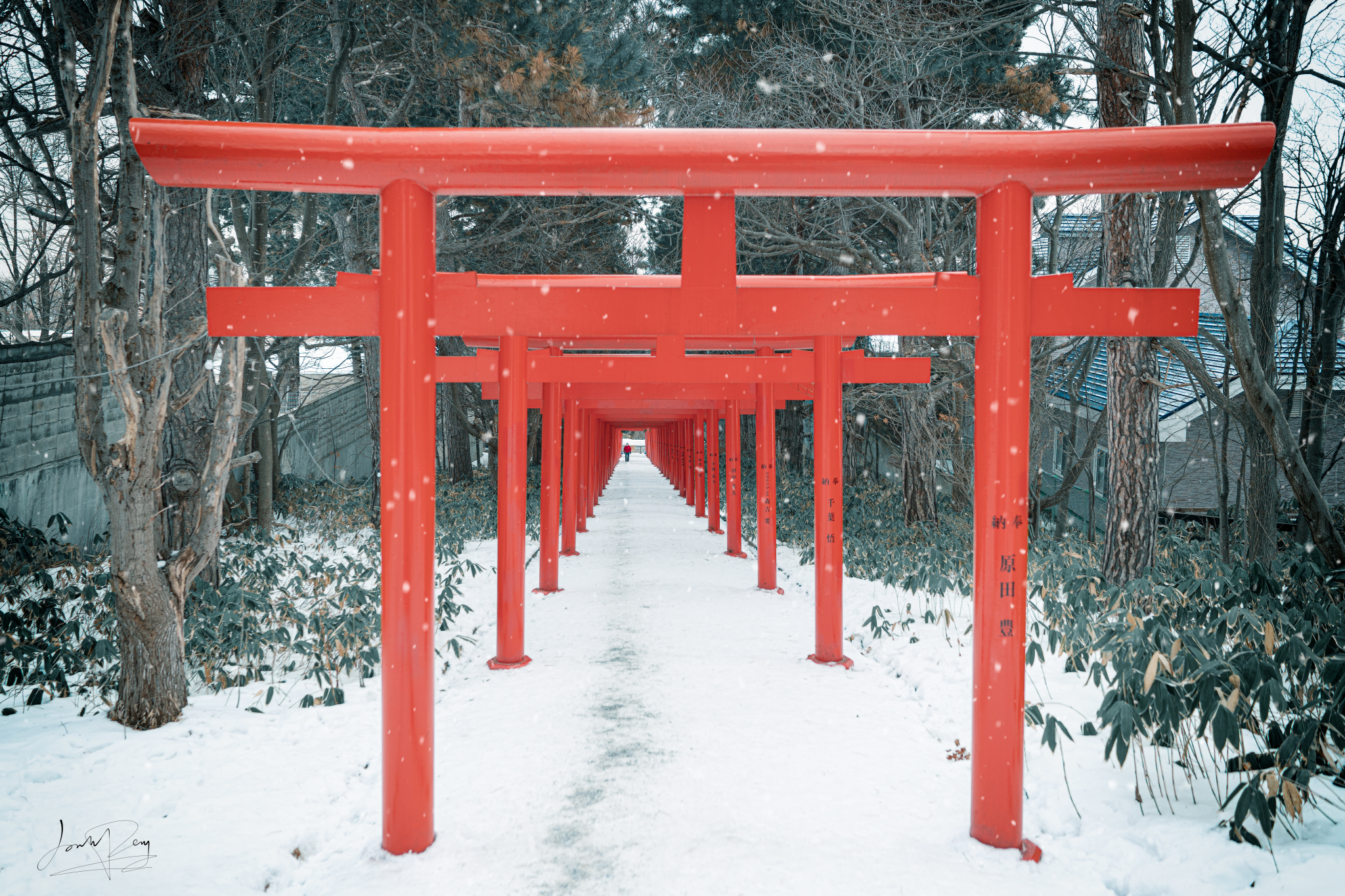 北海道自助遊攻略