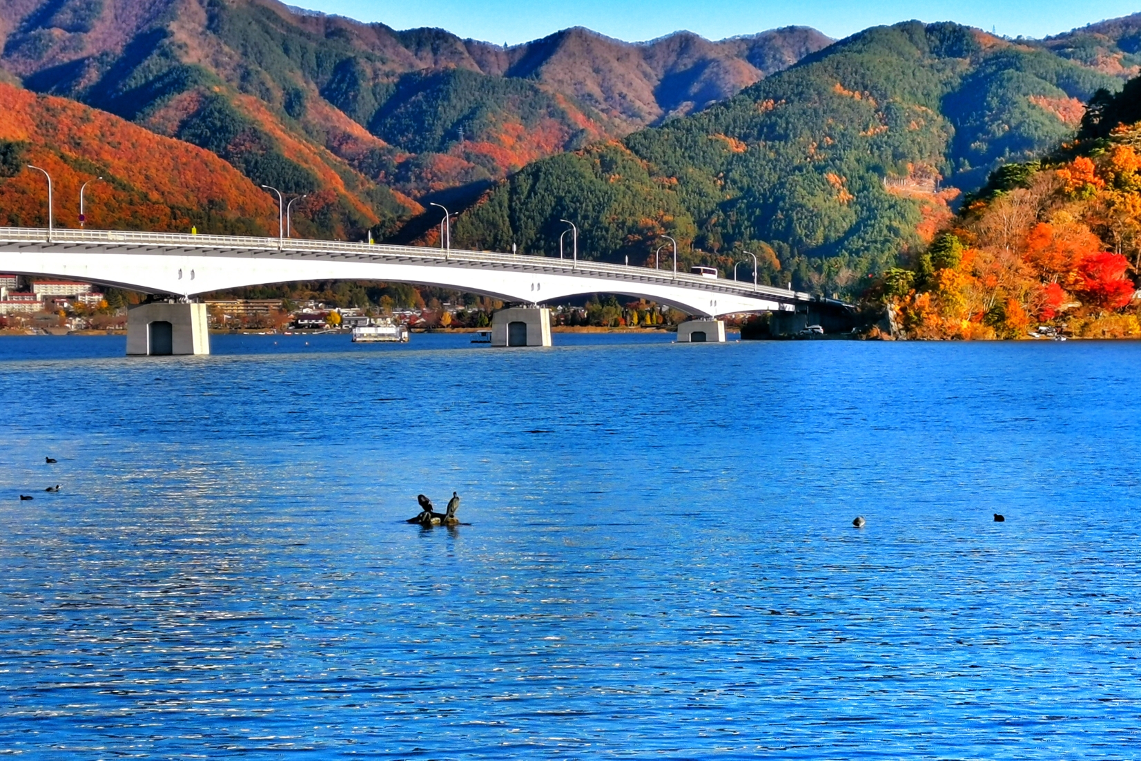 富士山自助遊攻略