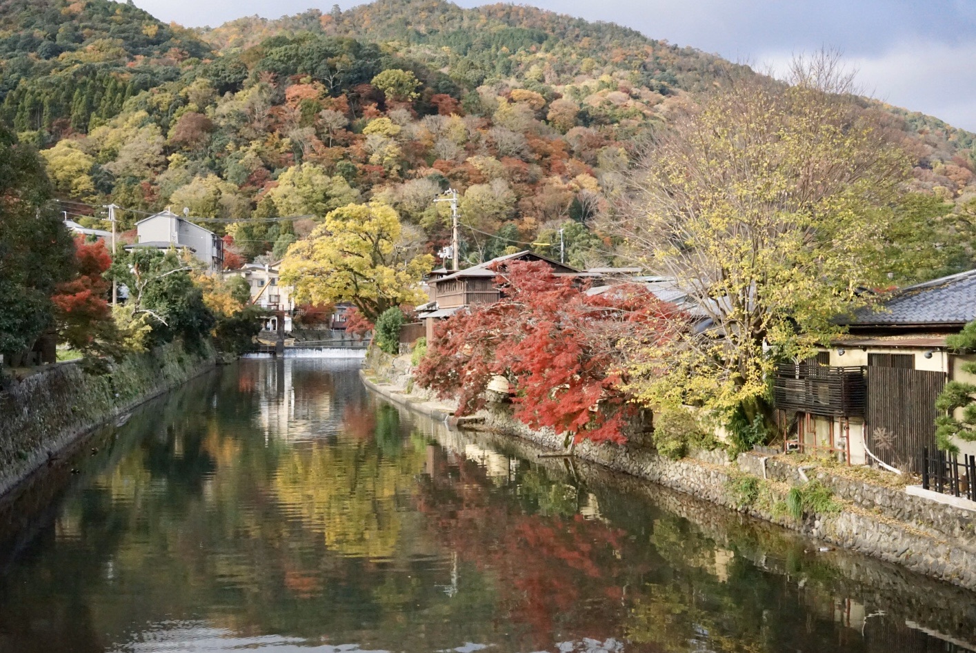 京都自助遊攻略