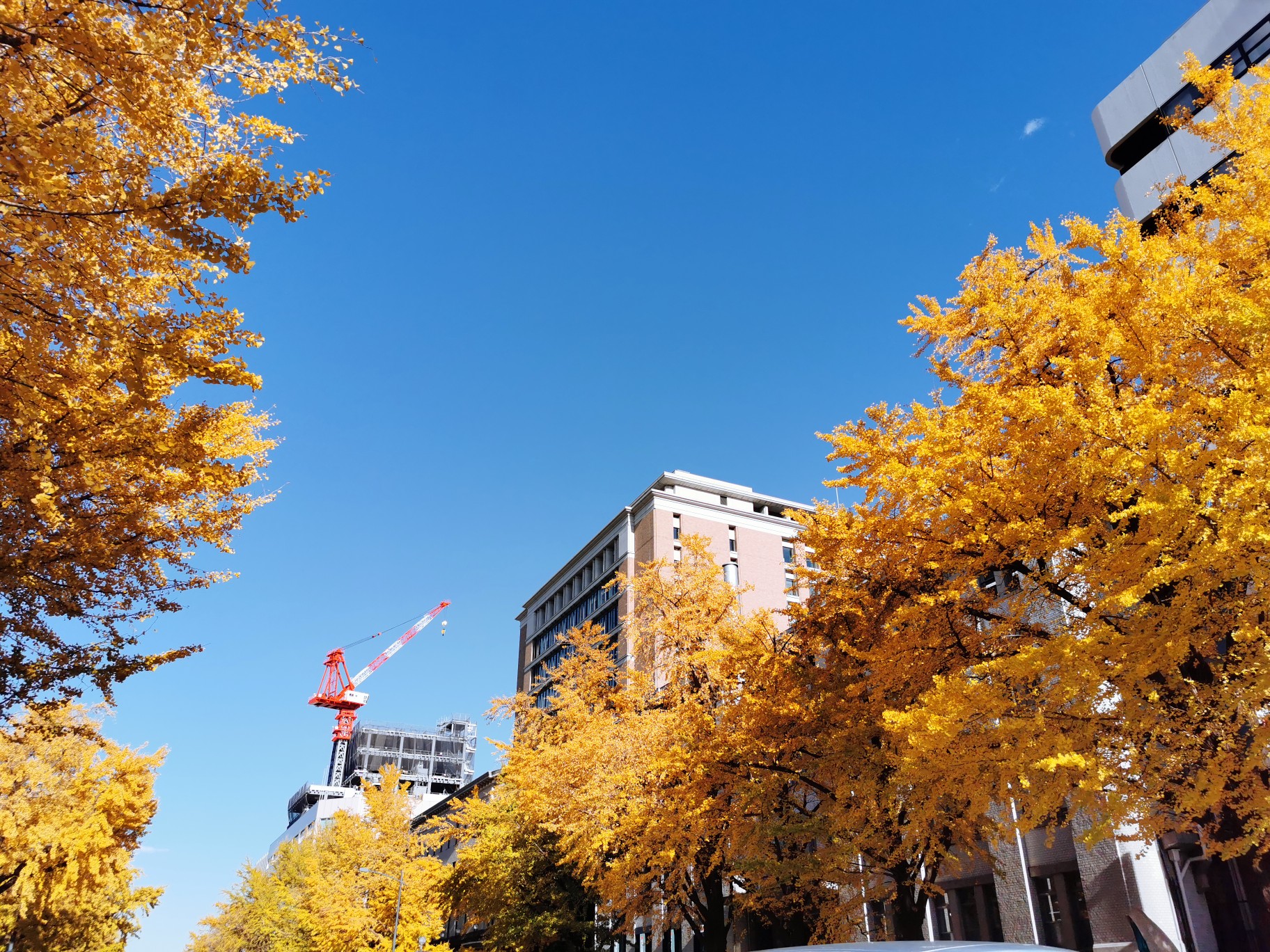 東京自助遊攻略