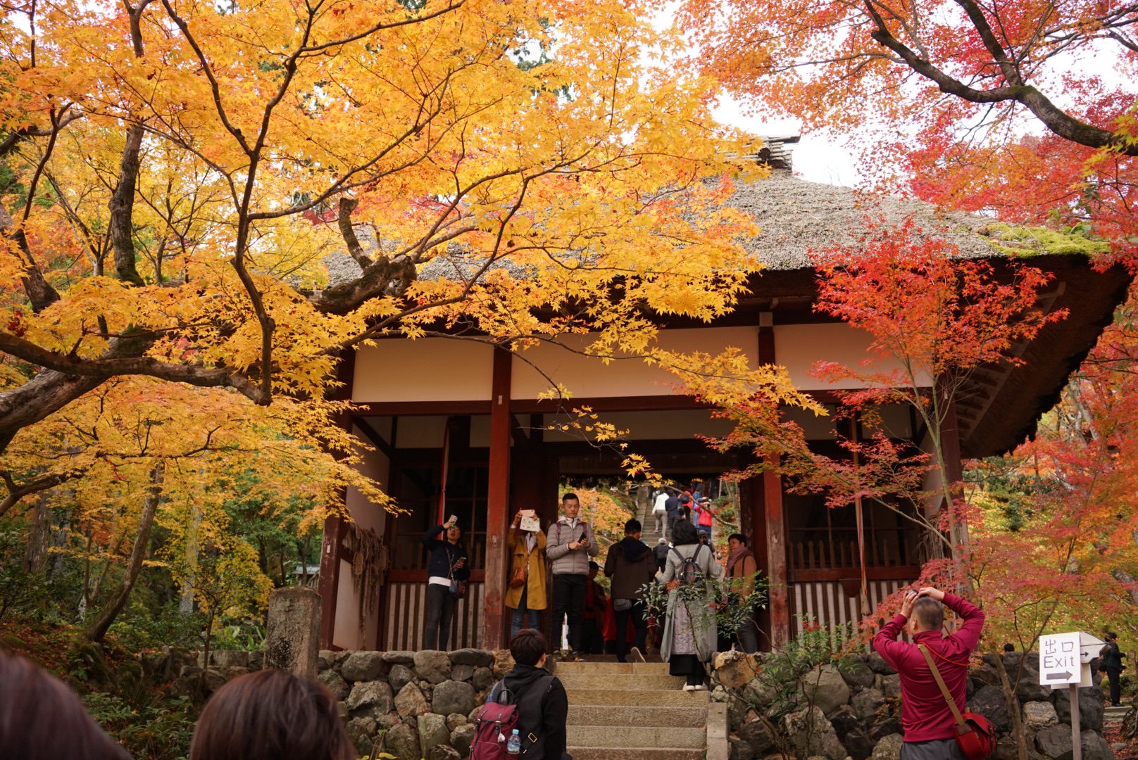 京都自助遊攻略