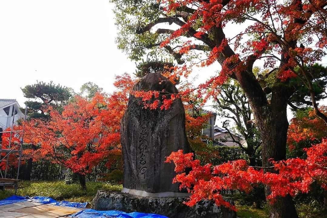 京都自助遊攻略