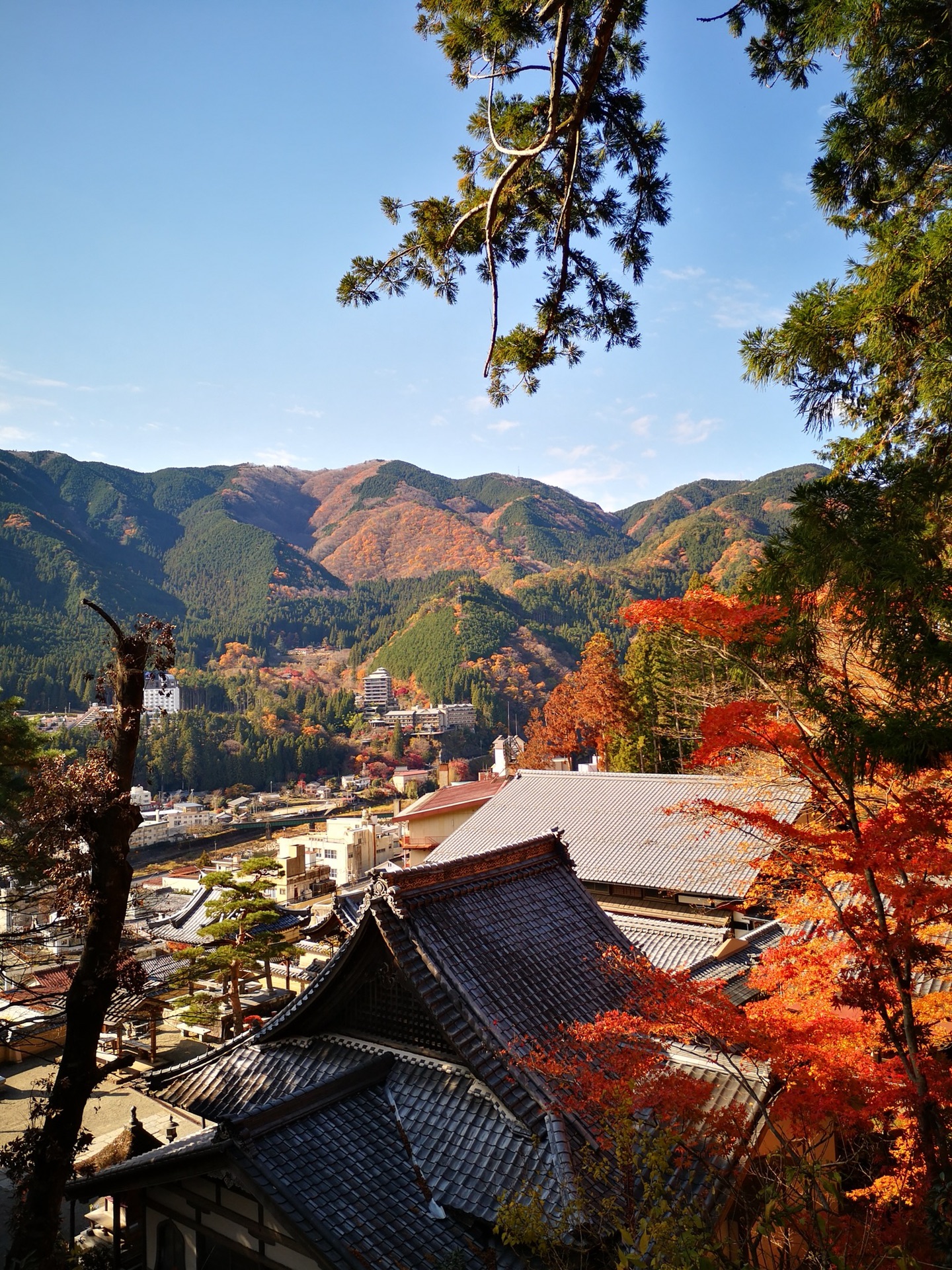 名古屋自助遊攻略