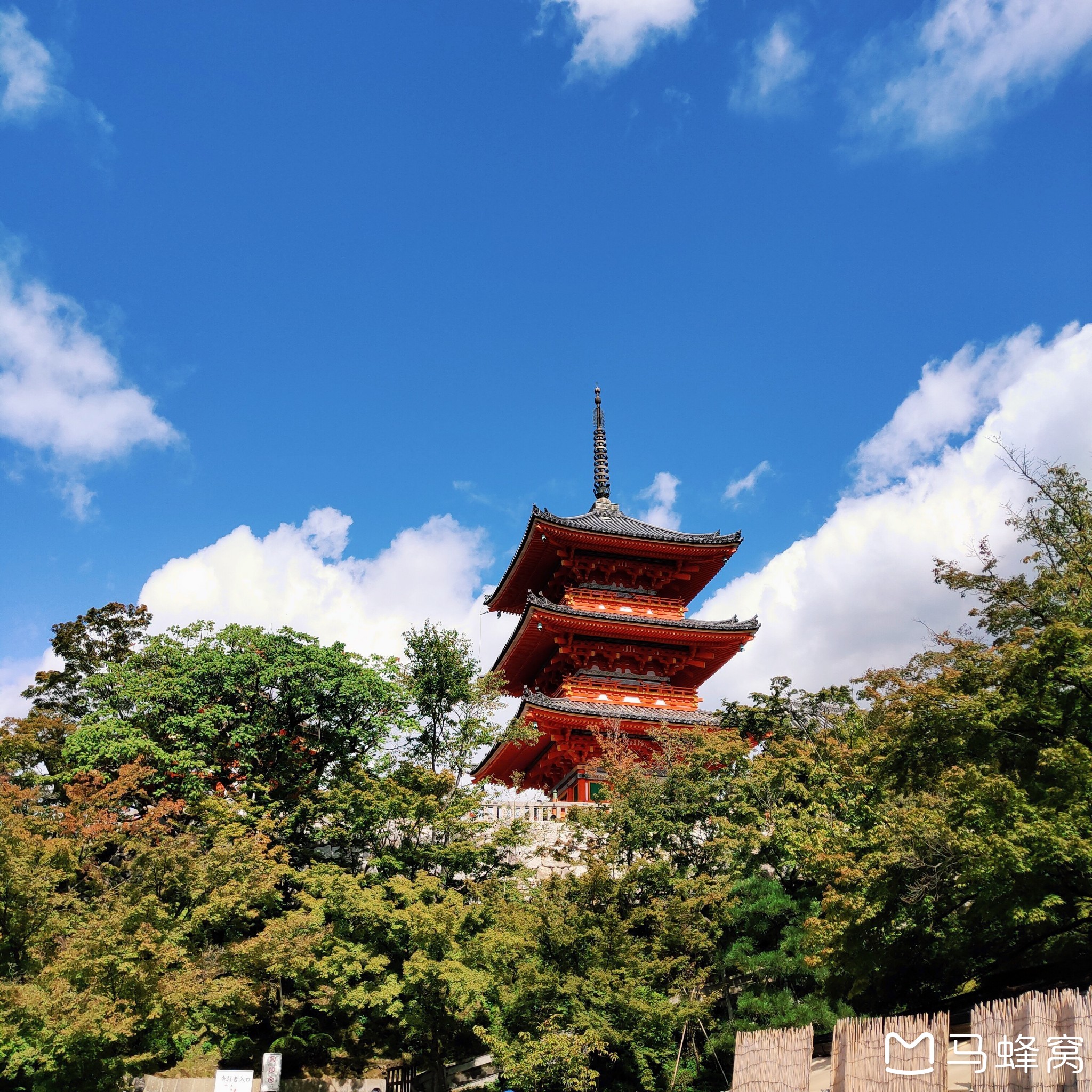 東京自助遊攻略