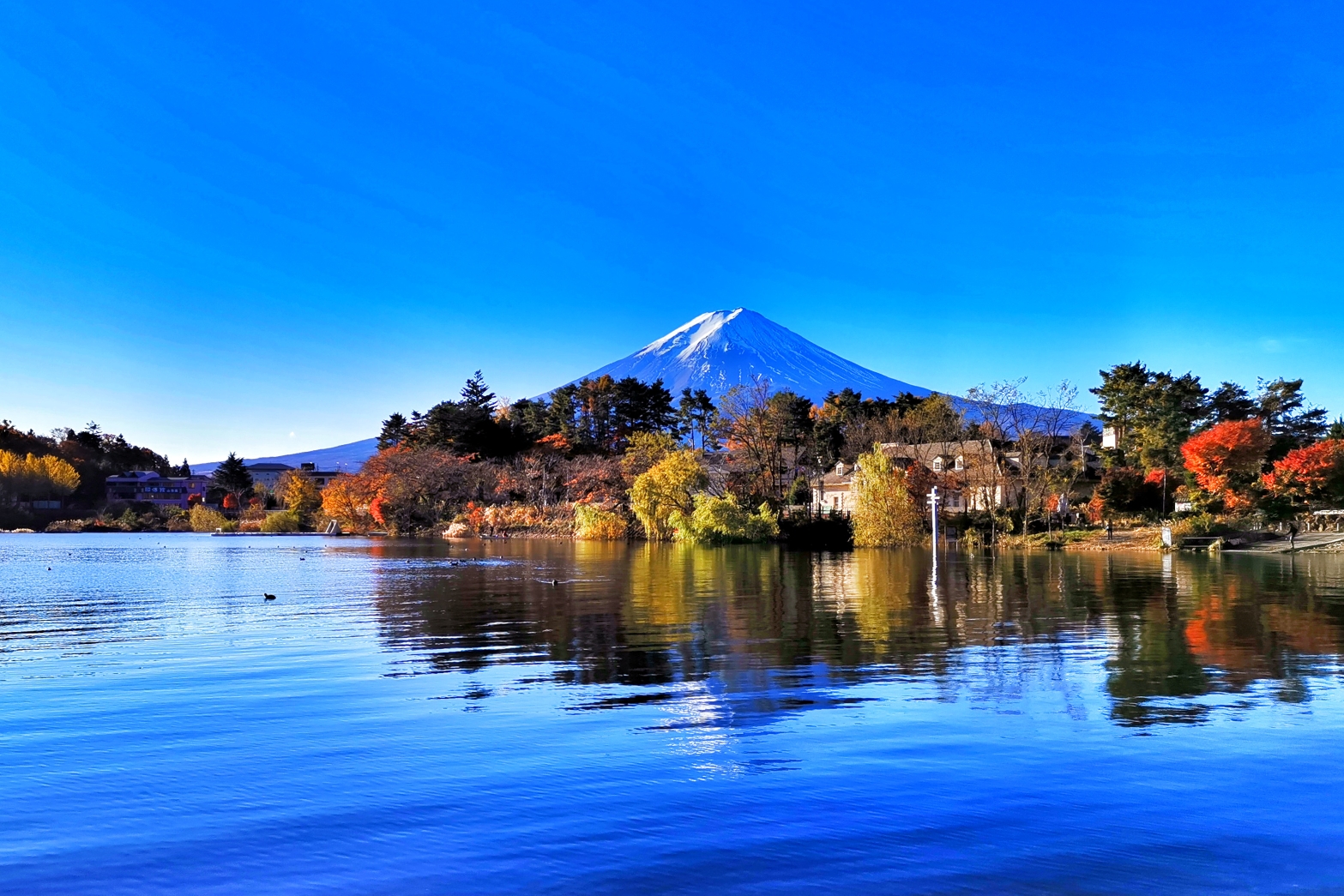 富士山自助遊攻略