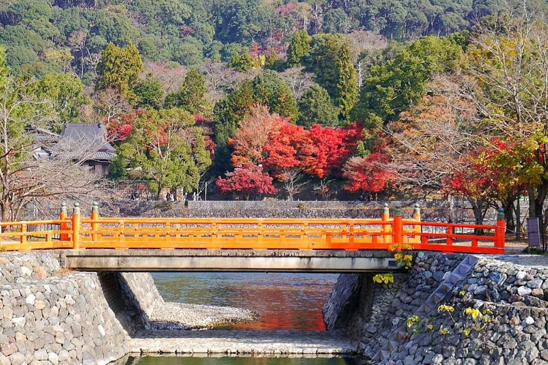 京都自助遊攻略